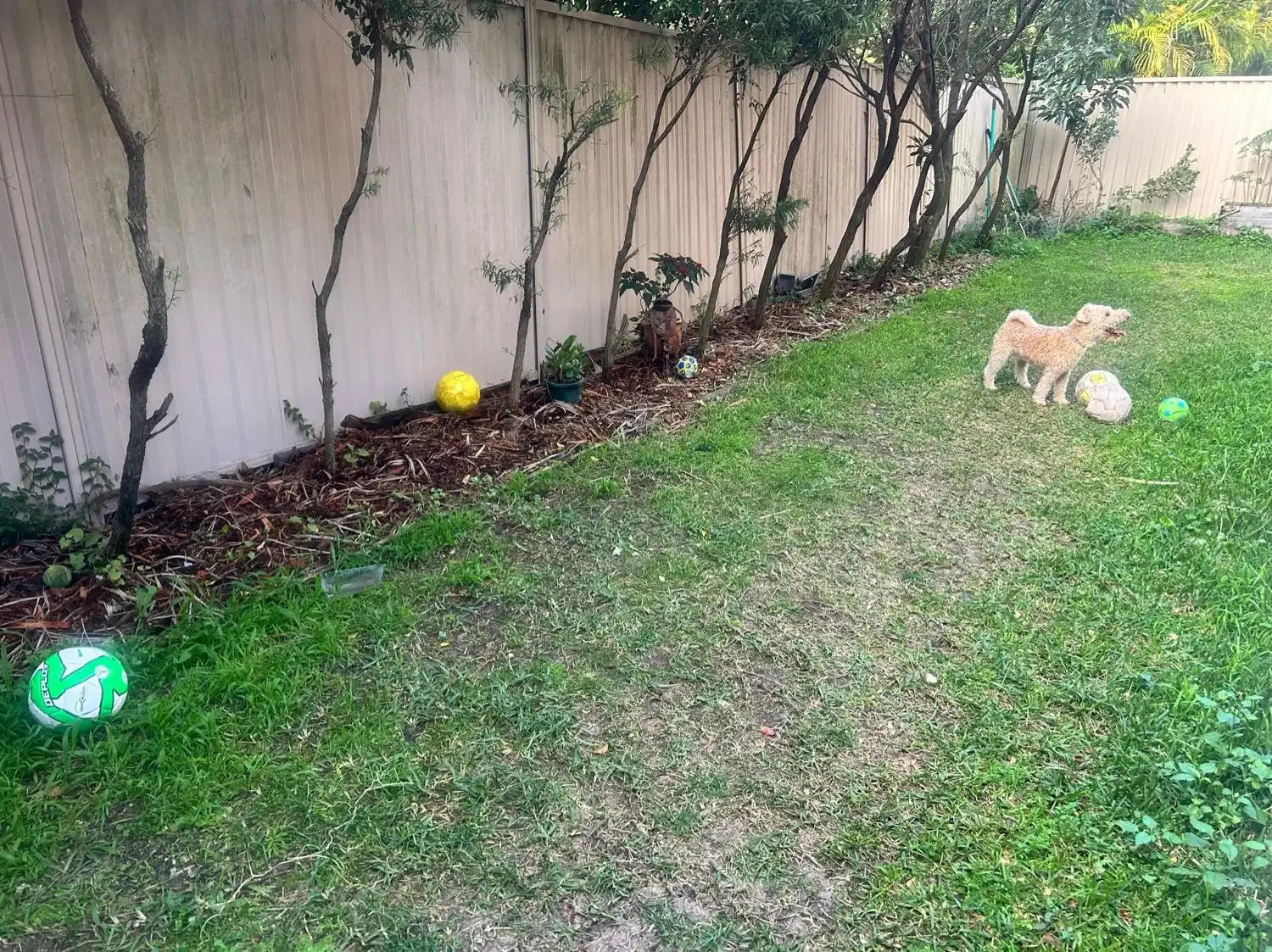 image-37