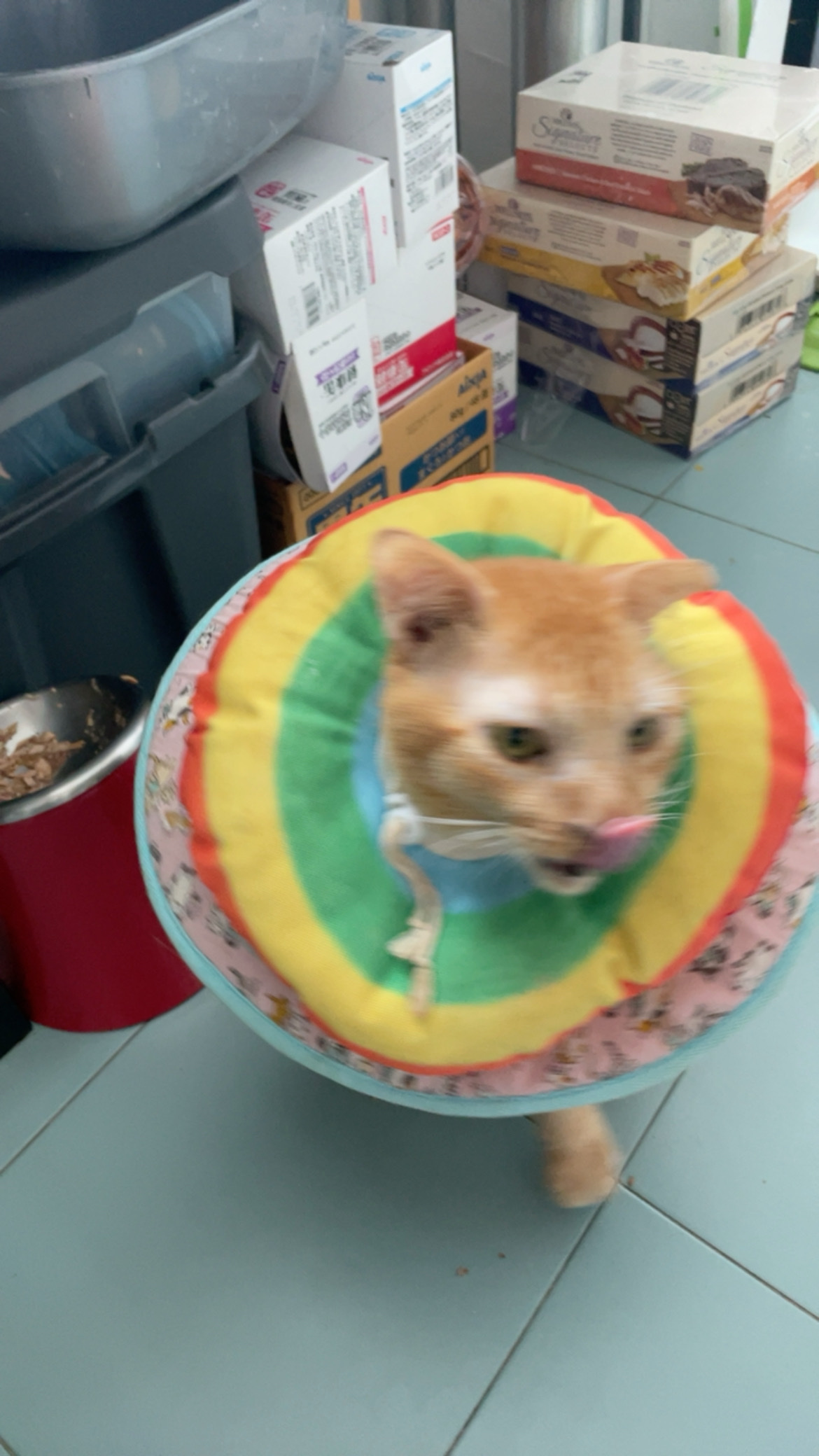 image-11