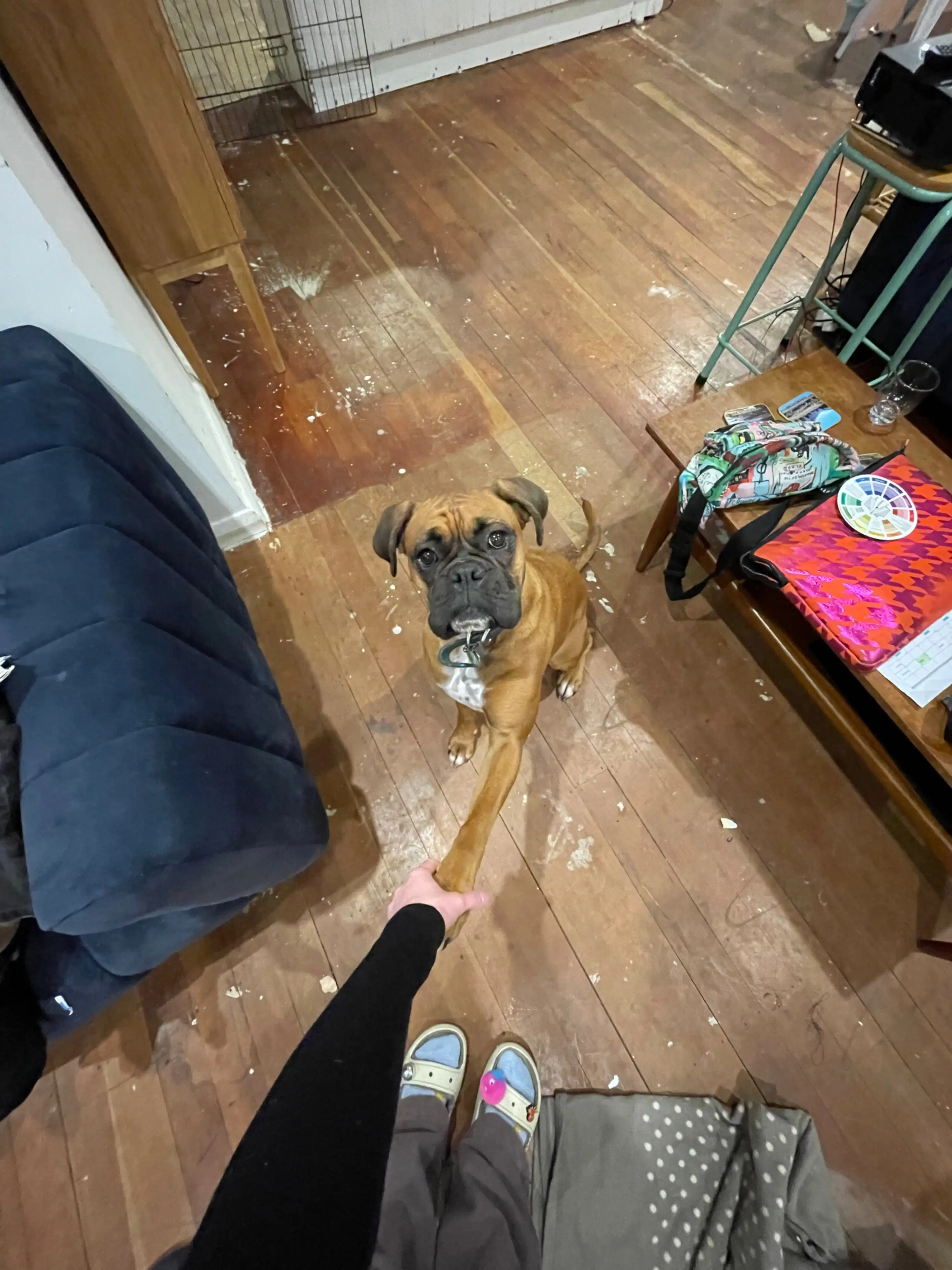 image-6
