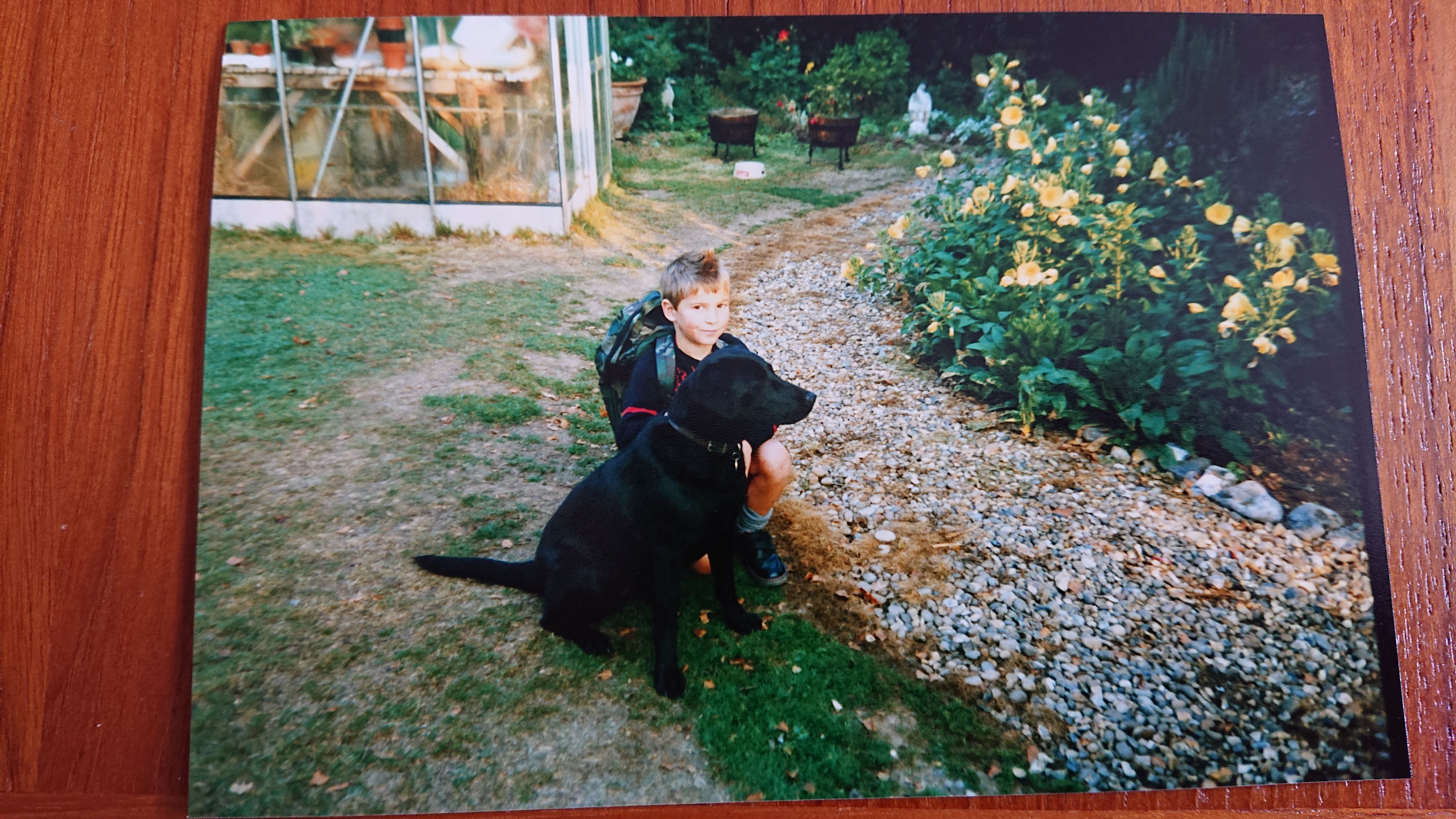 image-0