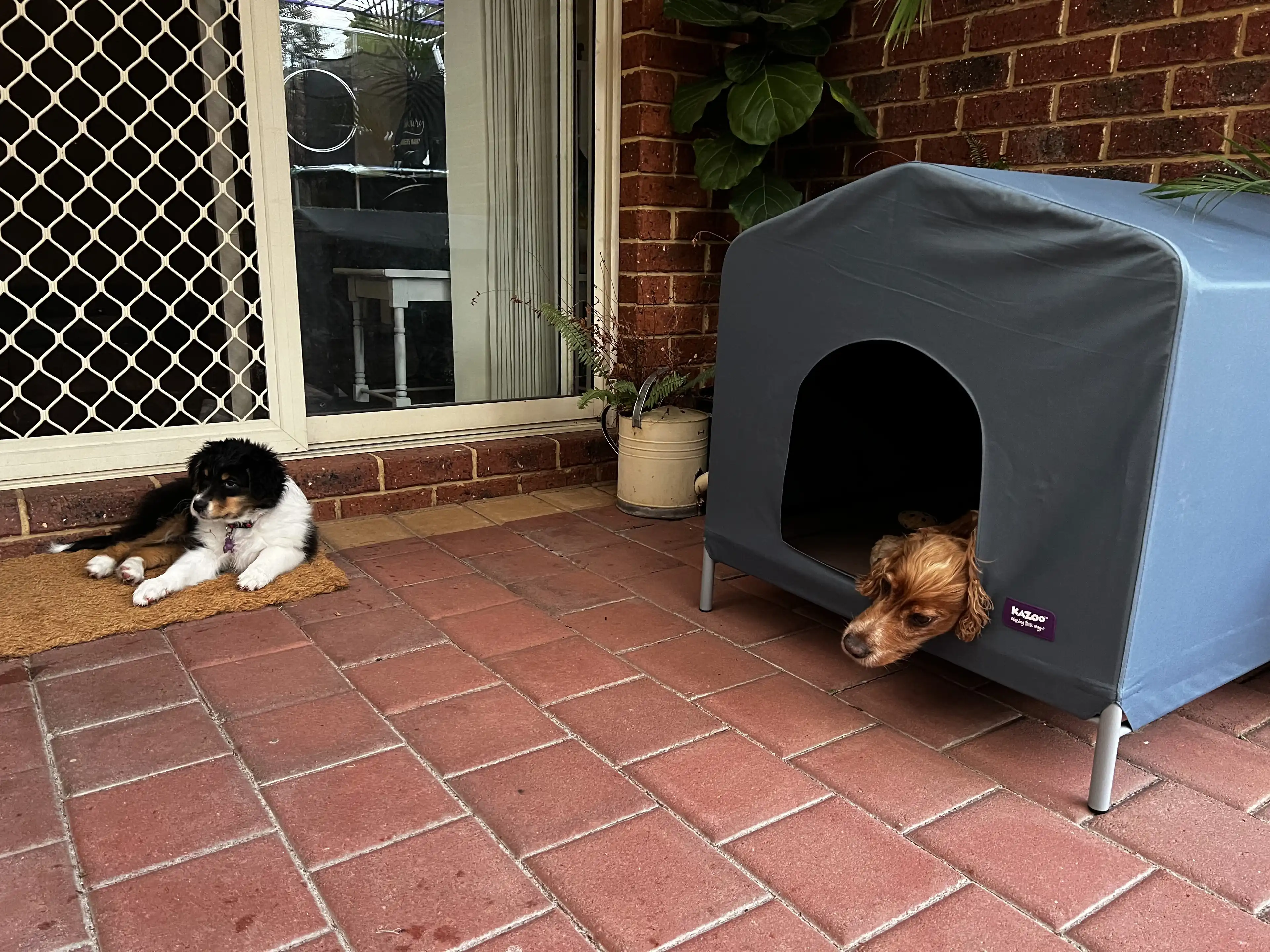 image-11