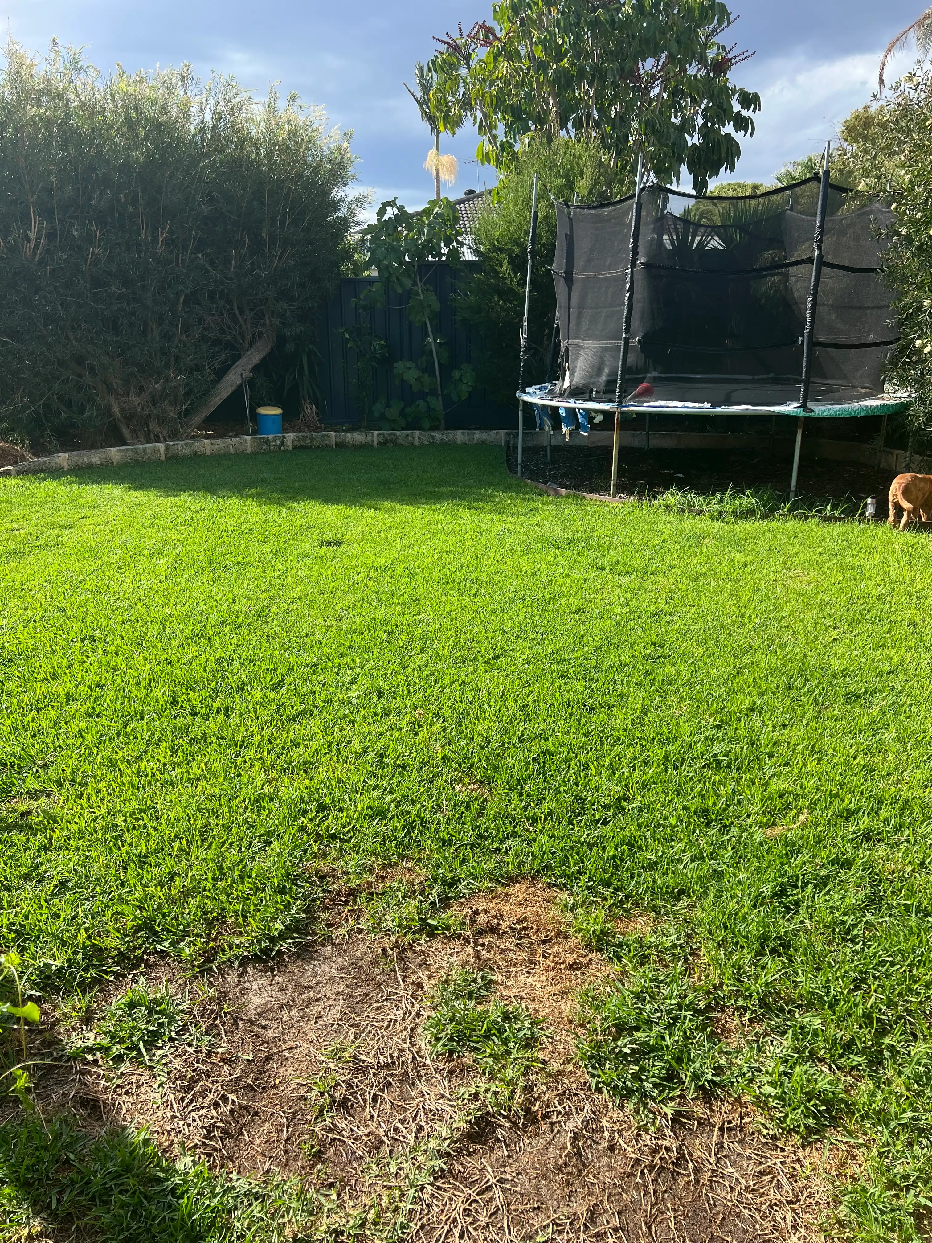 image-16