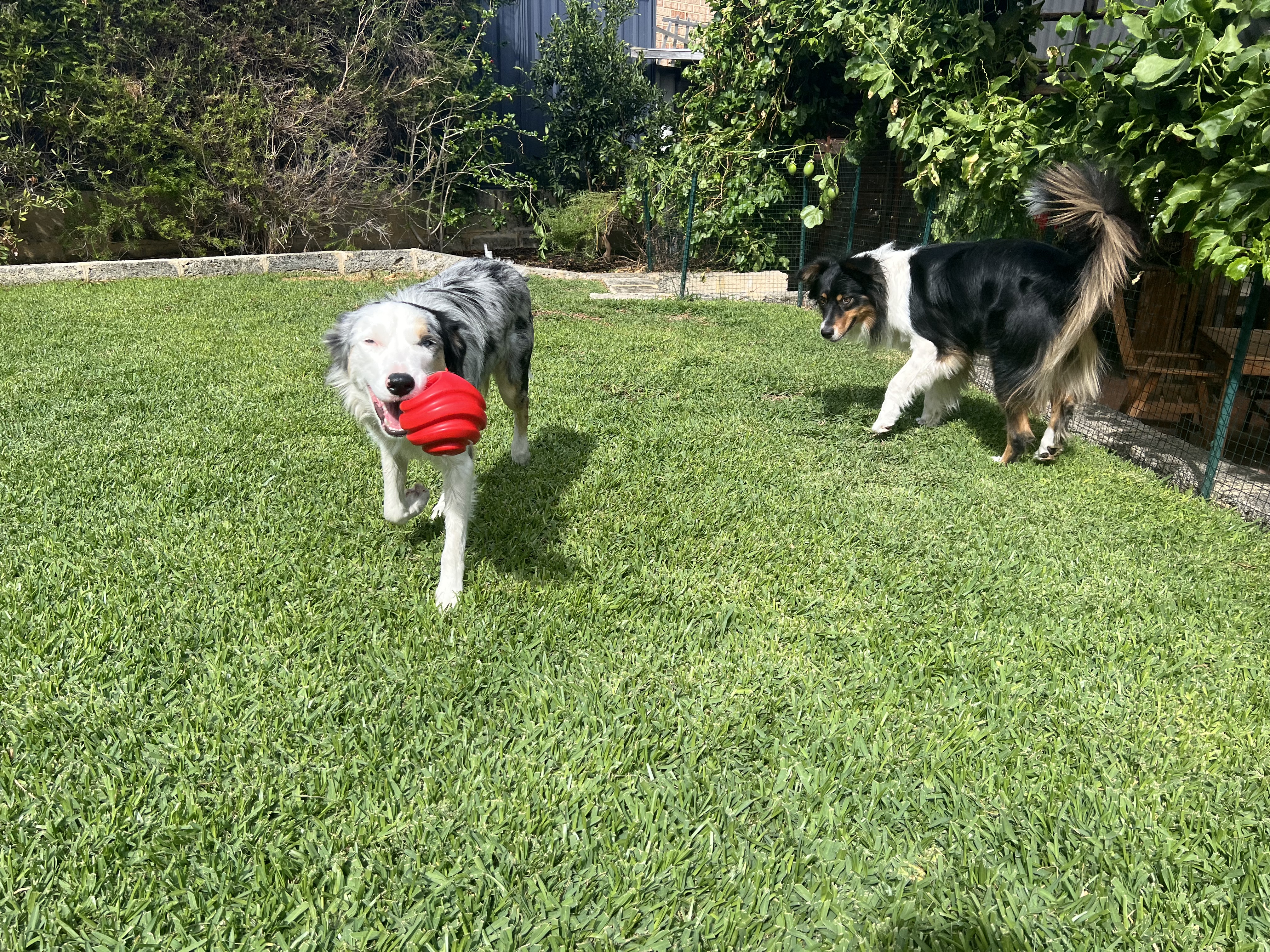 image-15