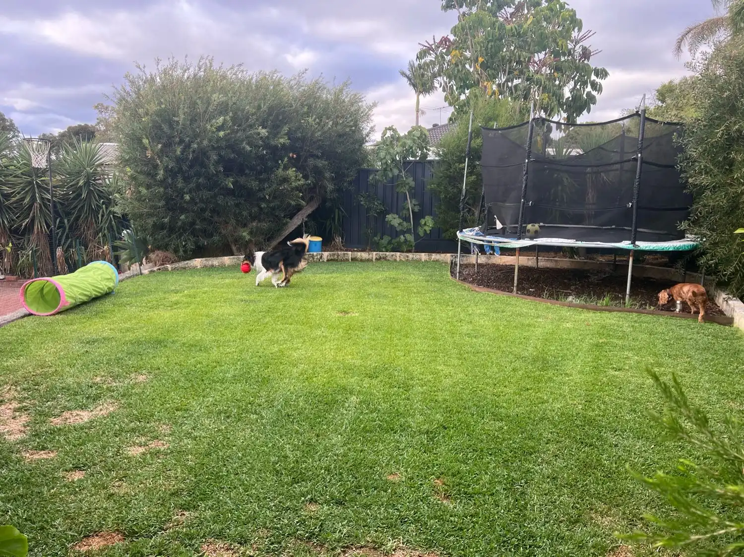 image-10