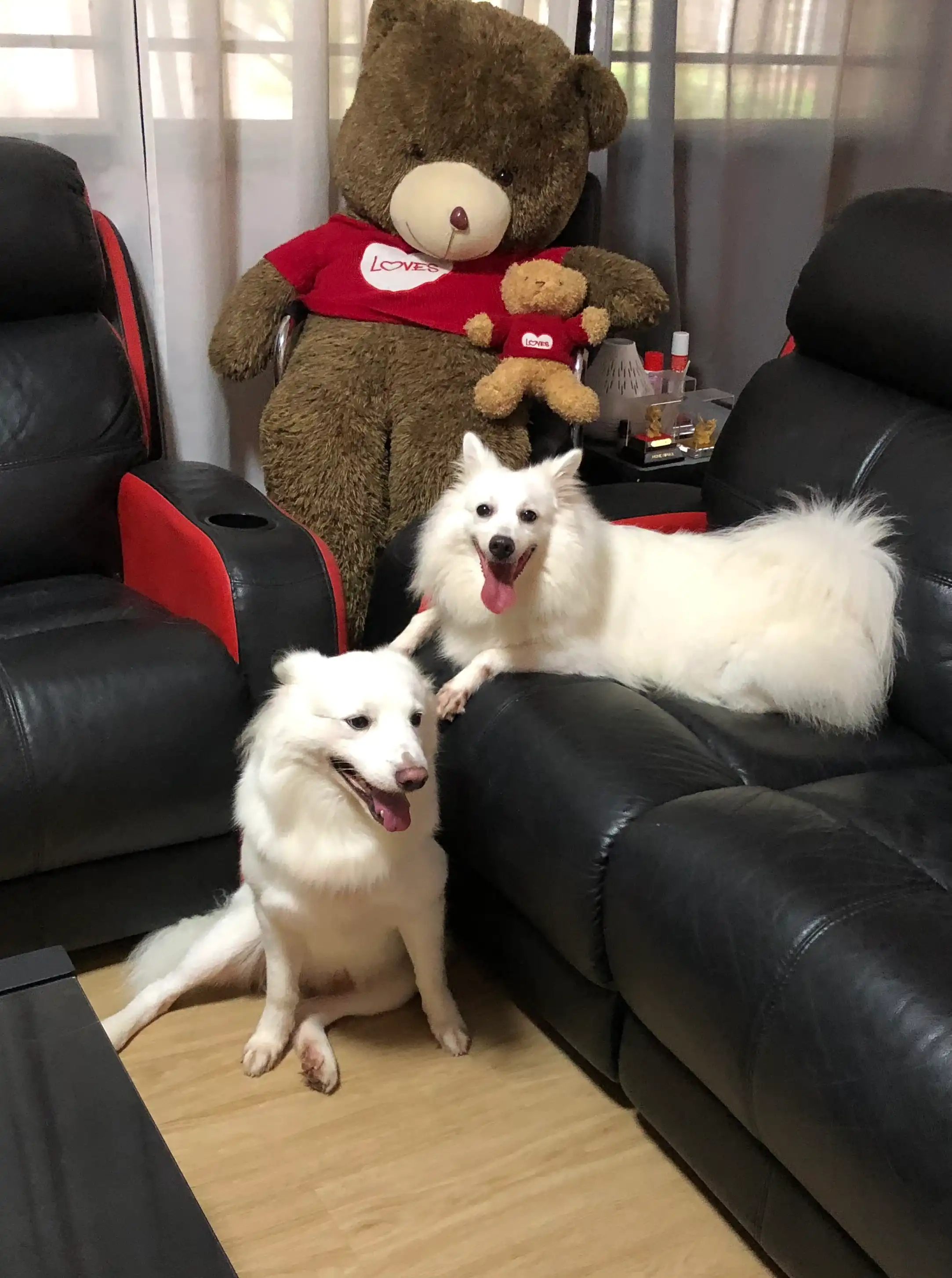 image-9