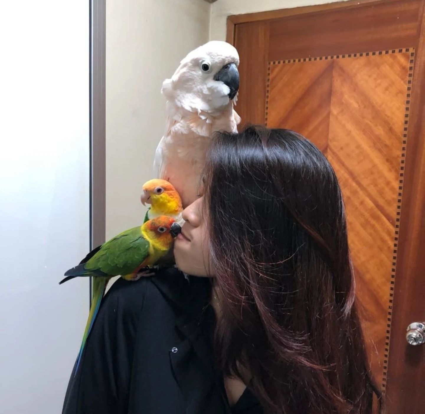 image-10