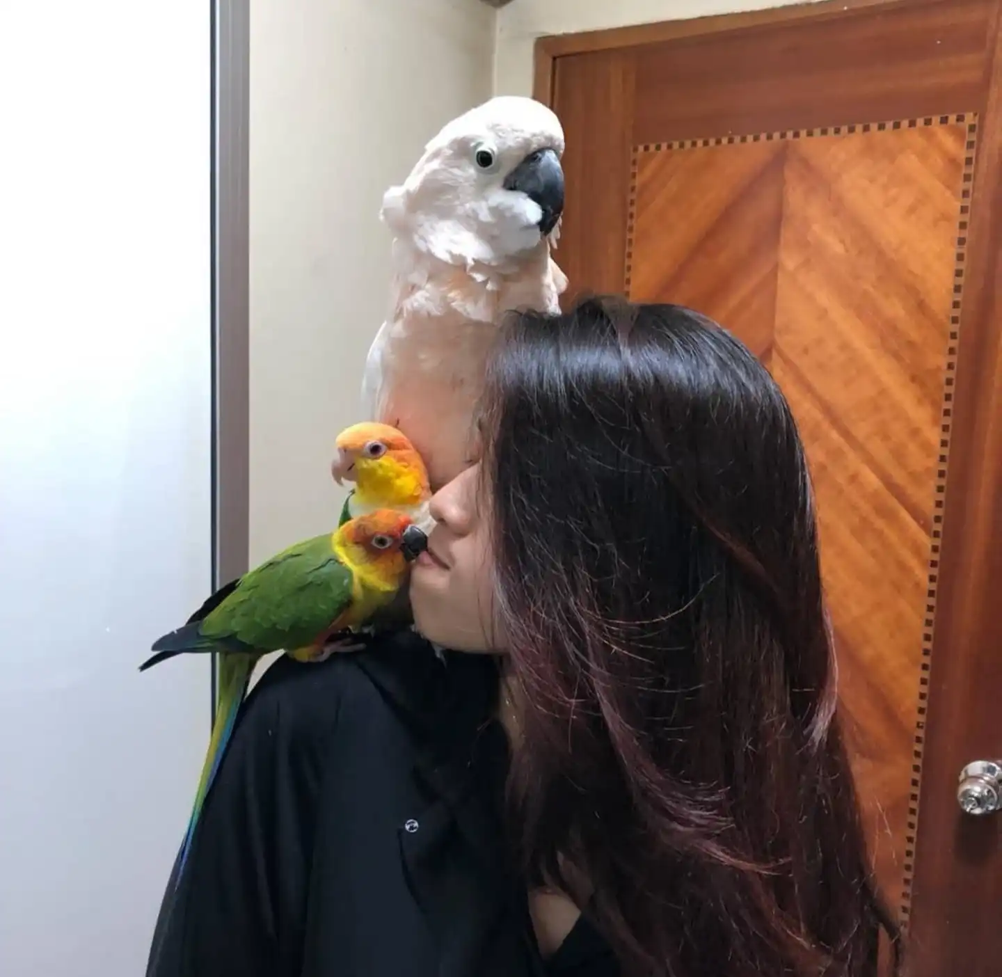 image-10