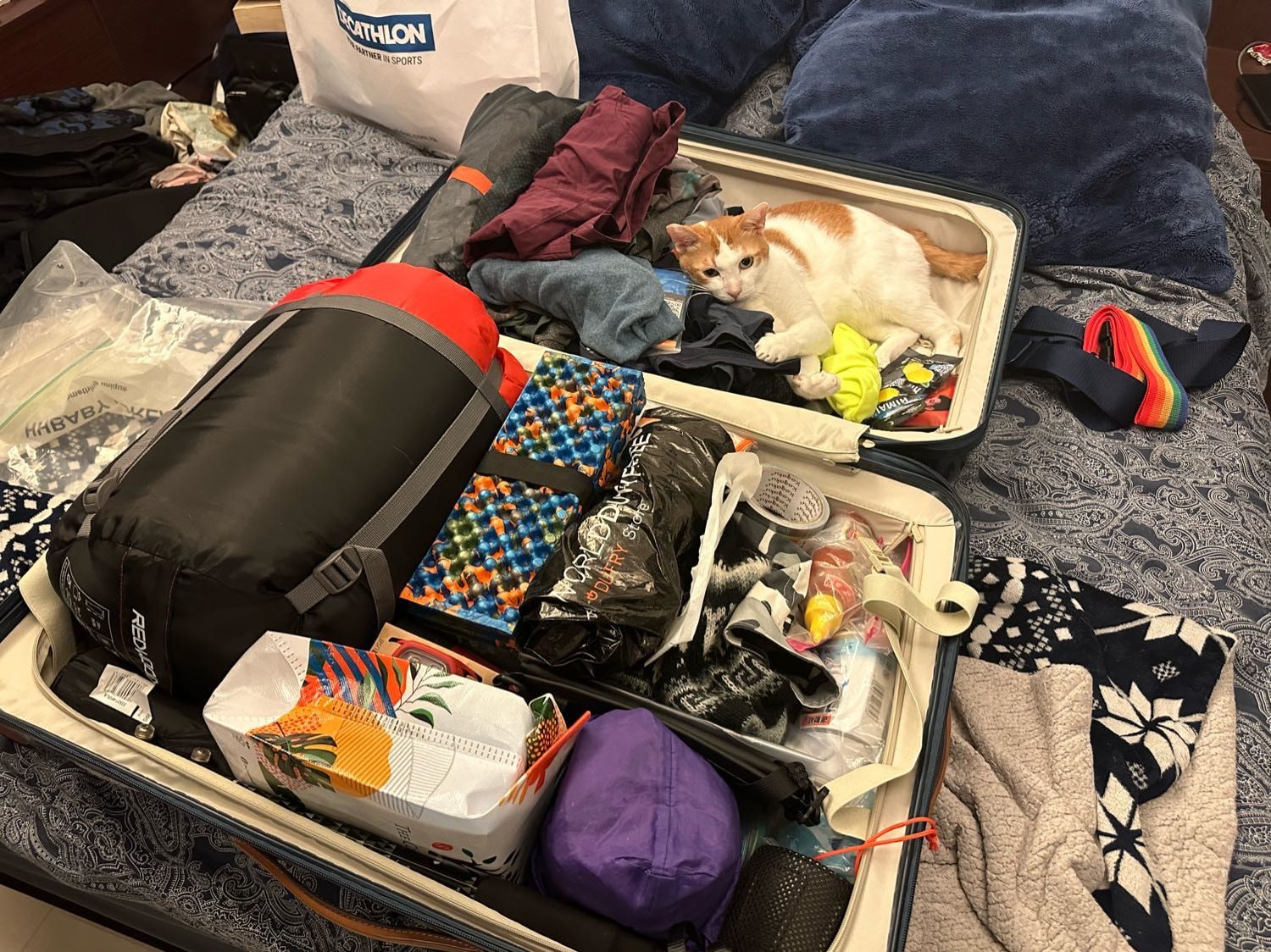 image-7