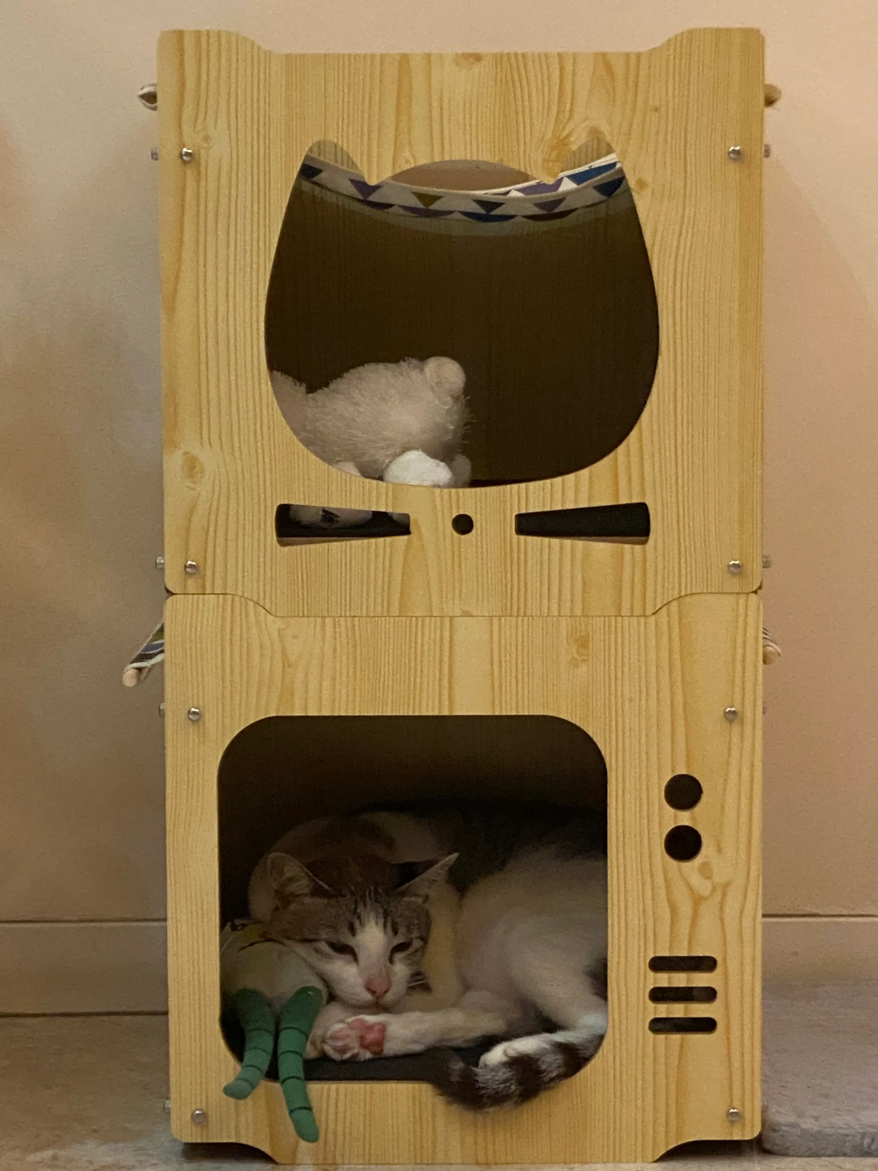 image-4