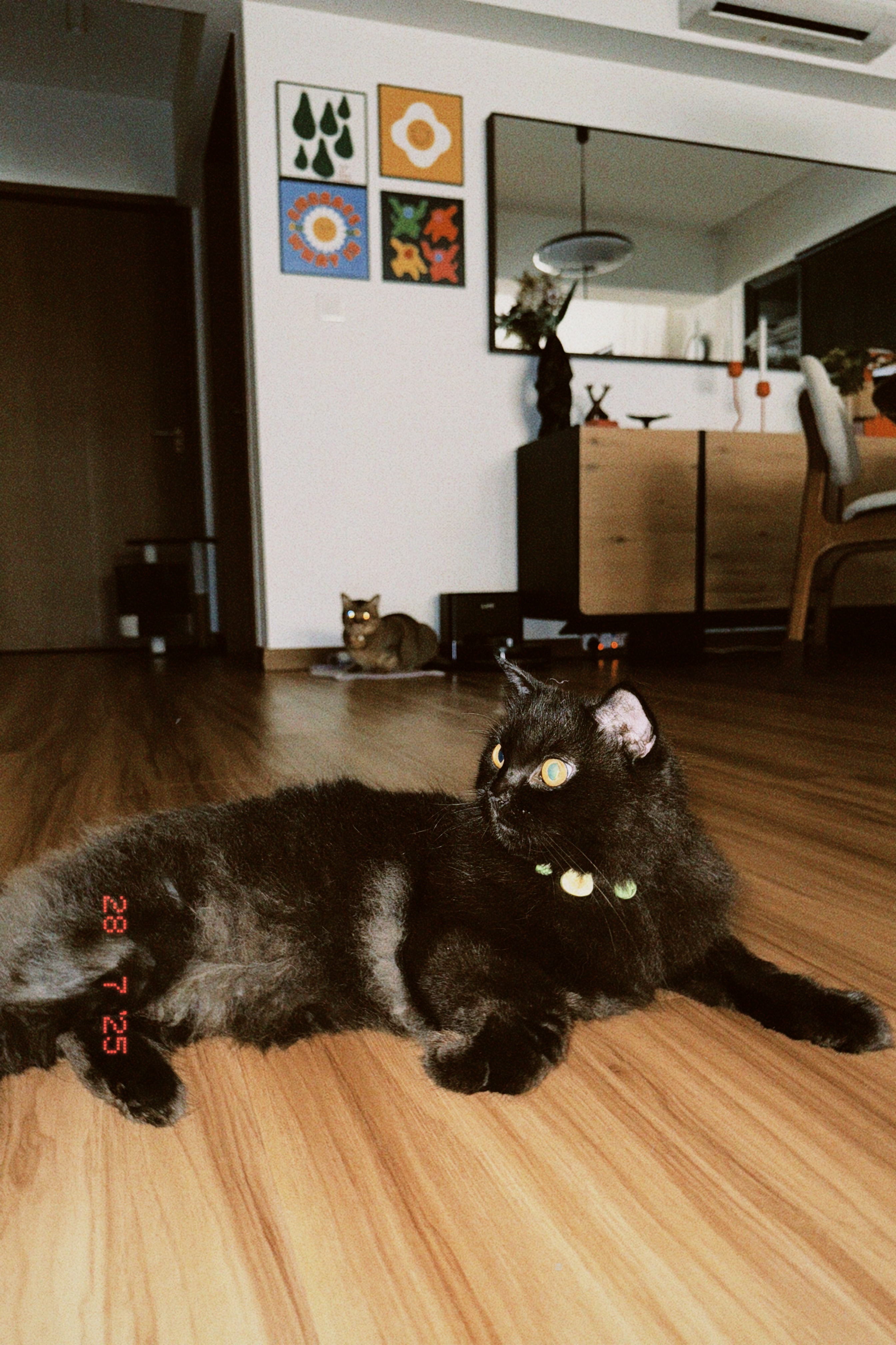 image-22