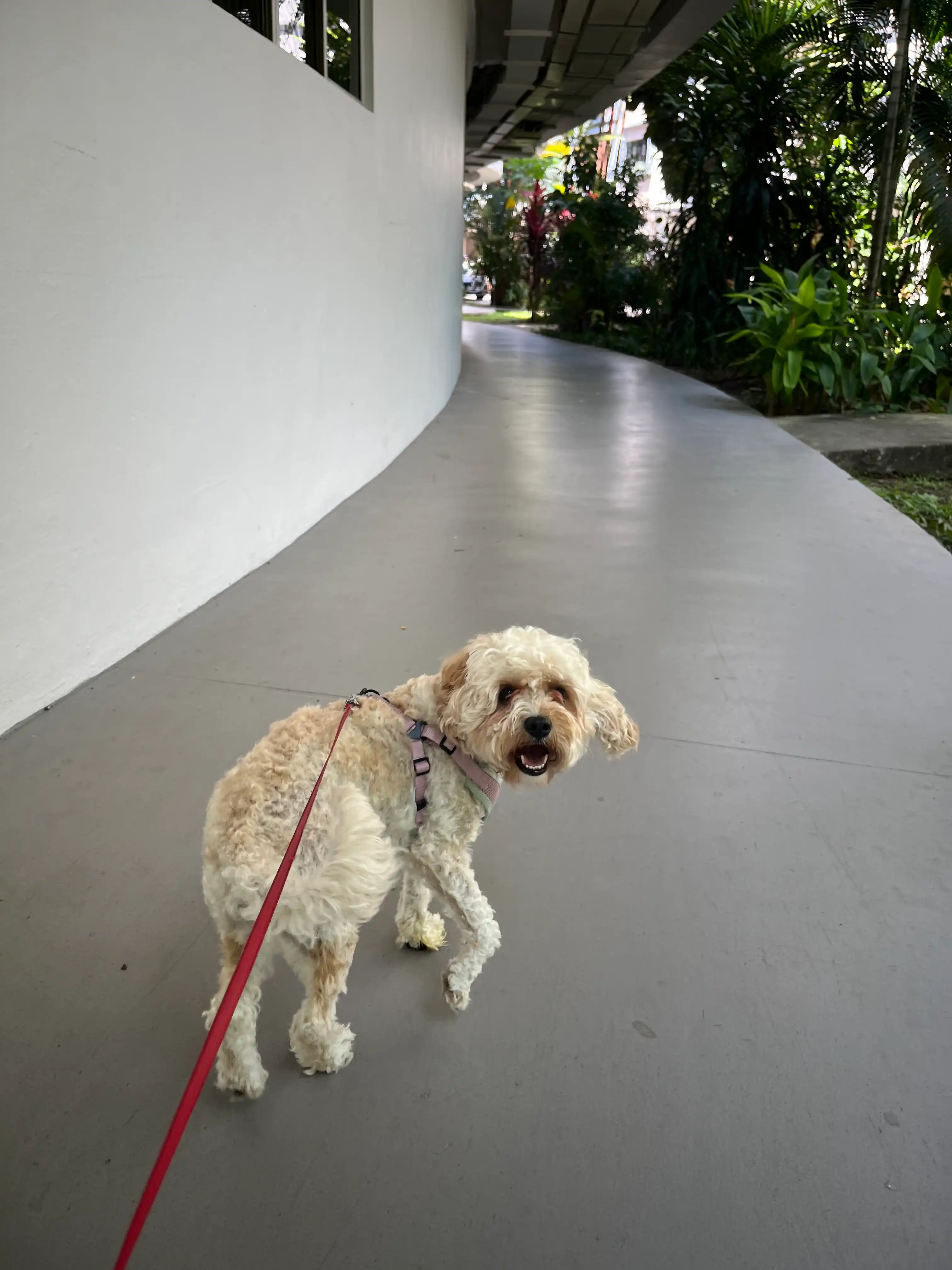 image-49