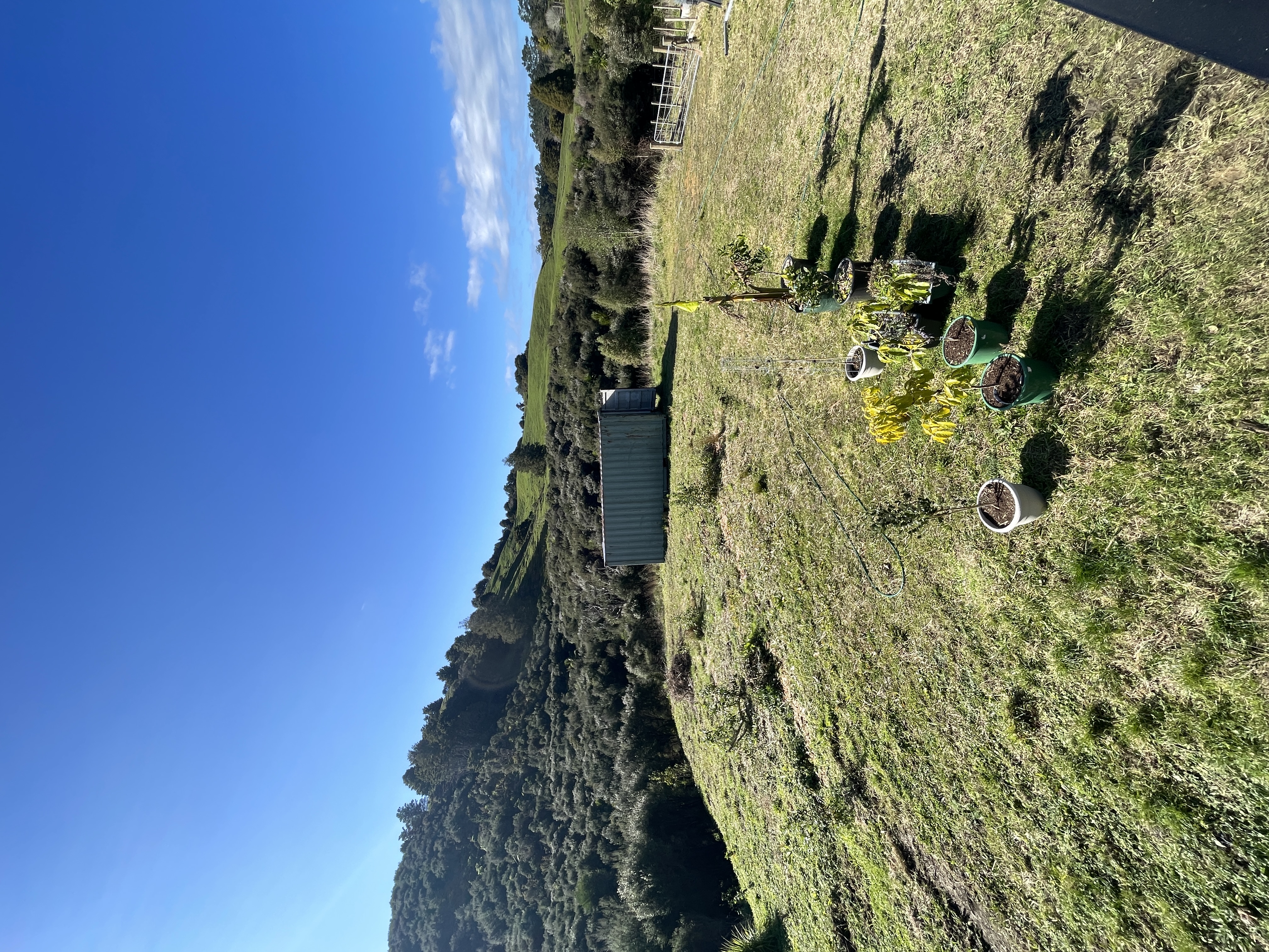 image-16
