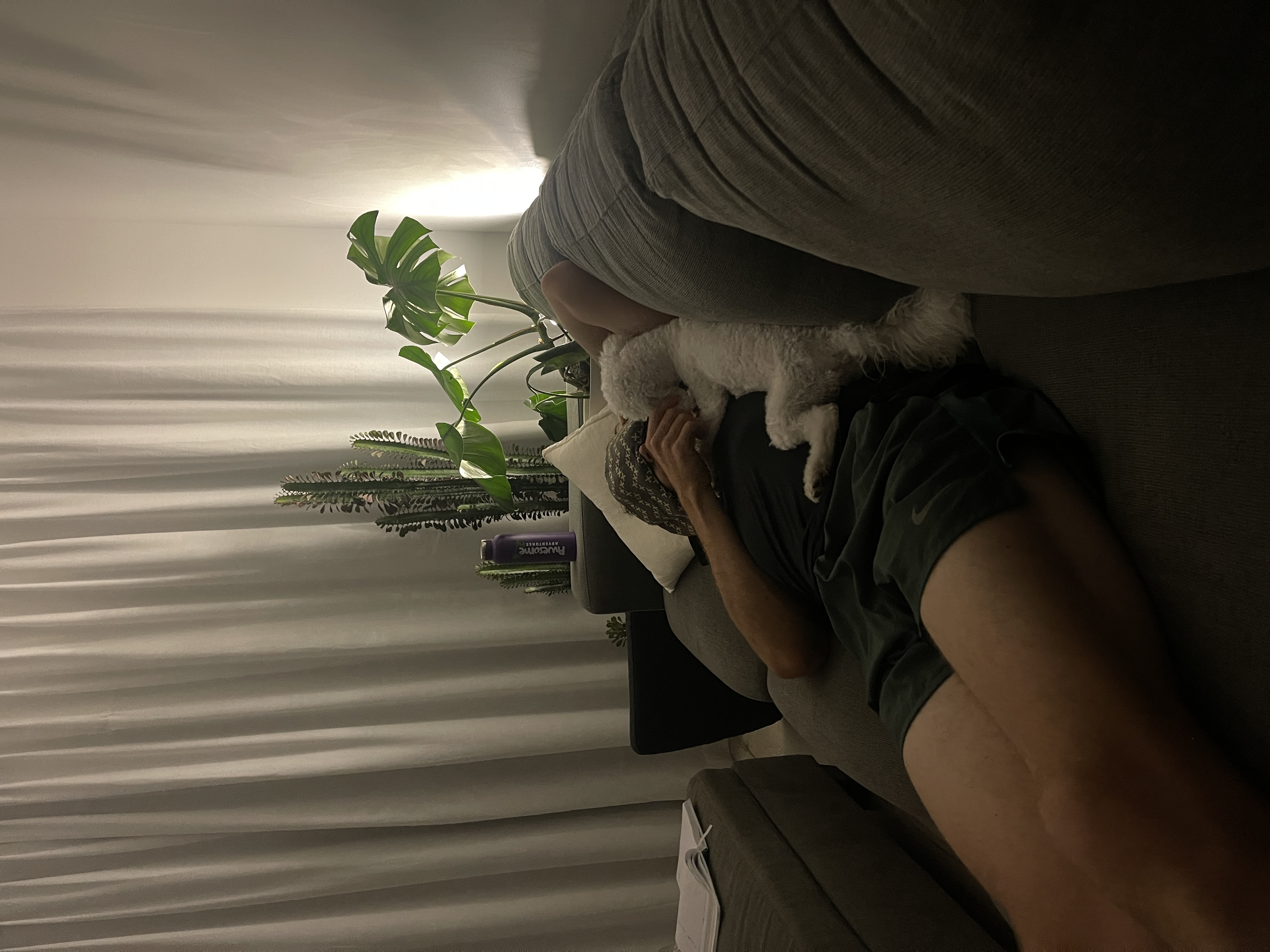 image-14