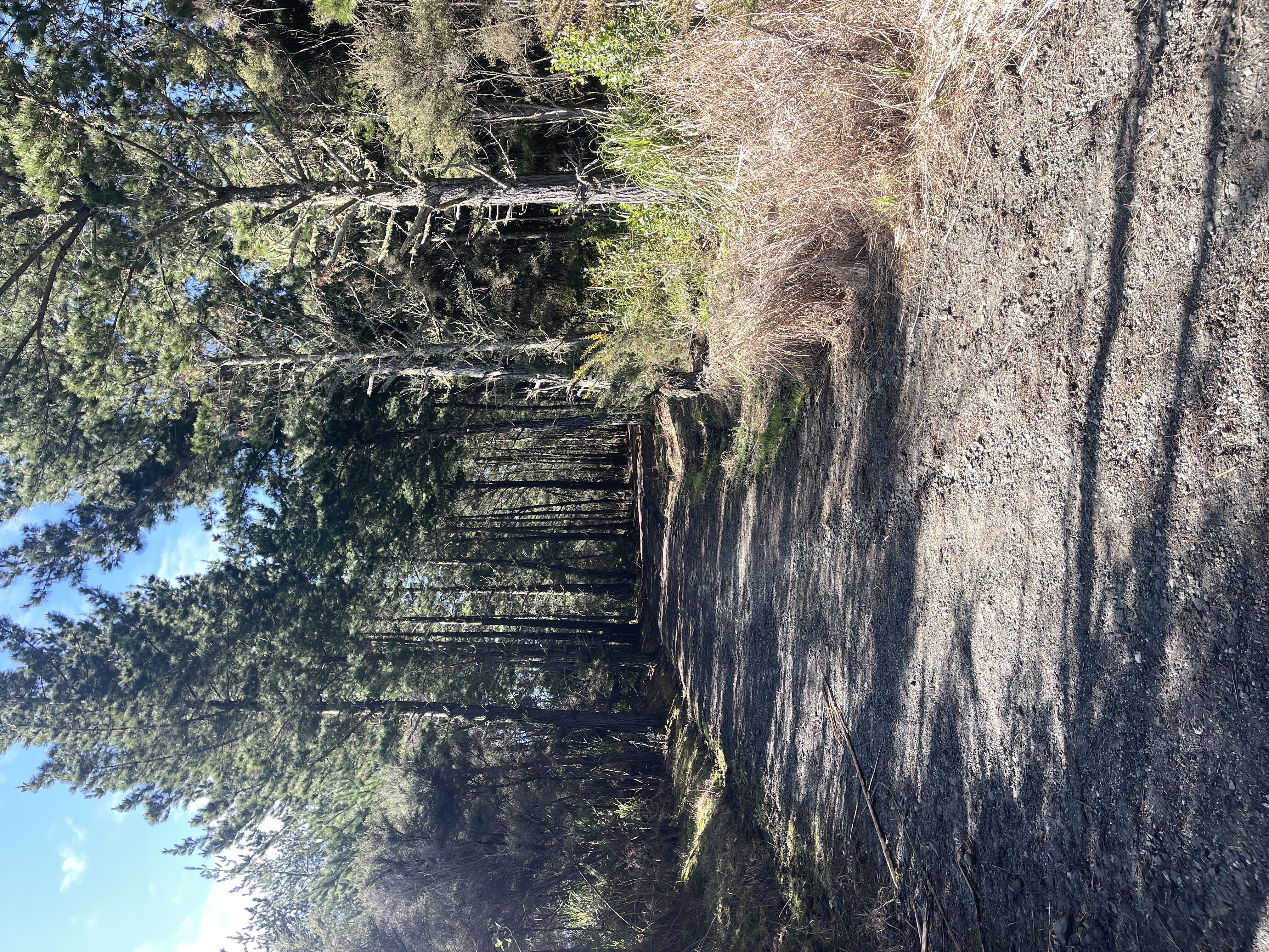 image-17