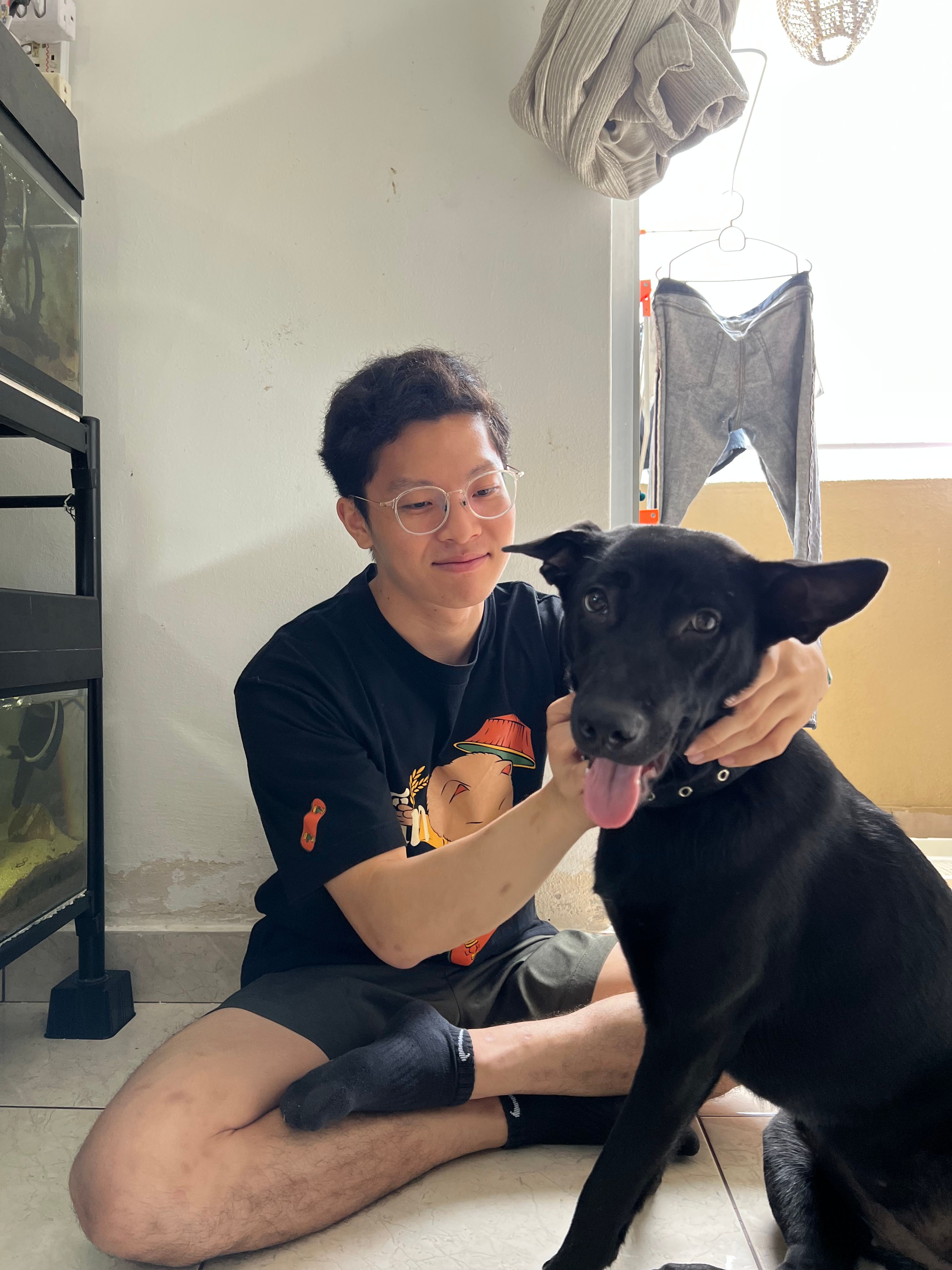 image-10