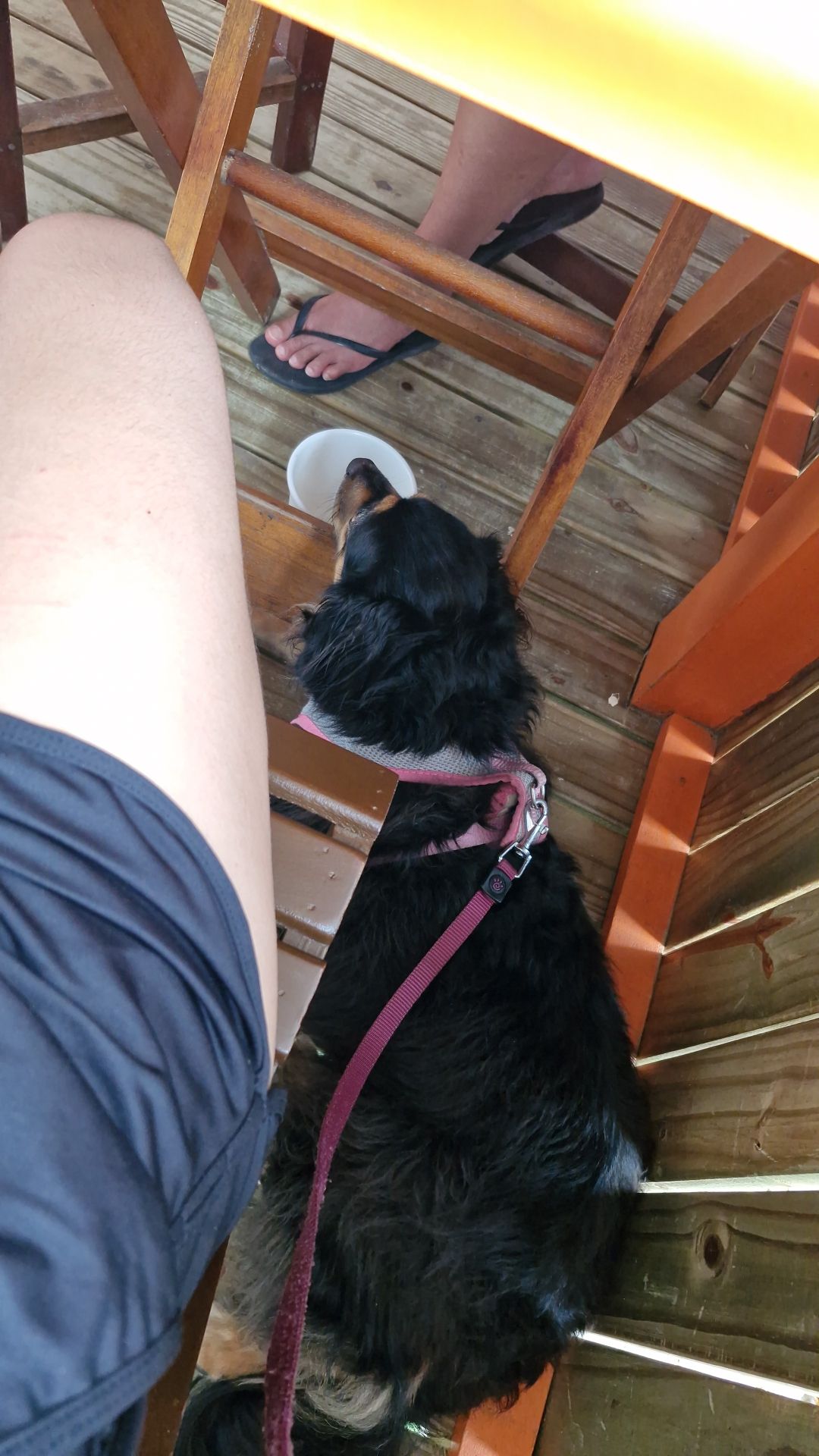 image-7