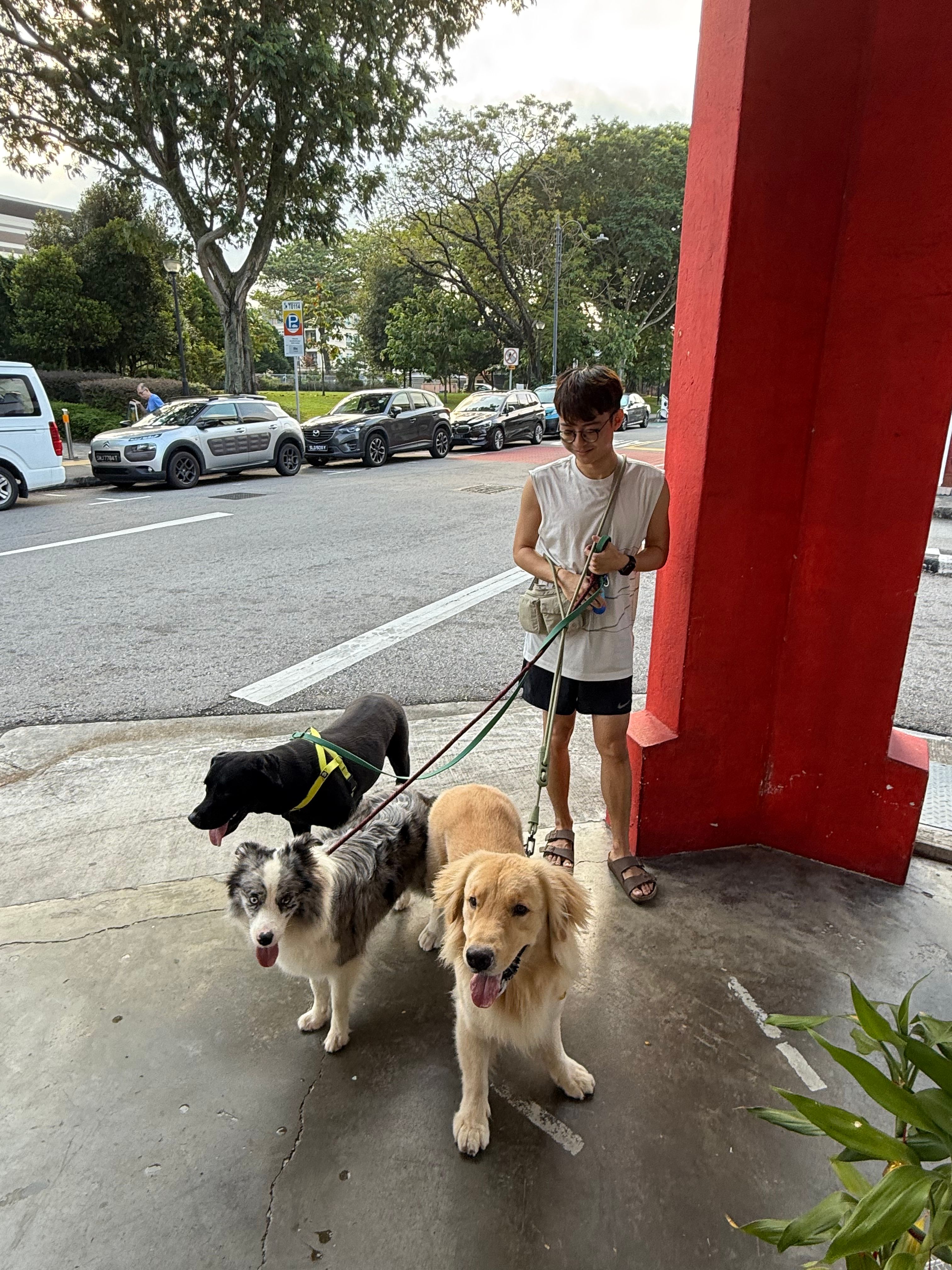 image-3