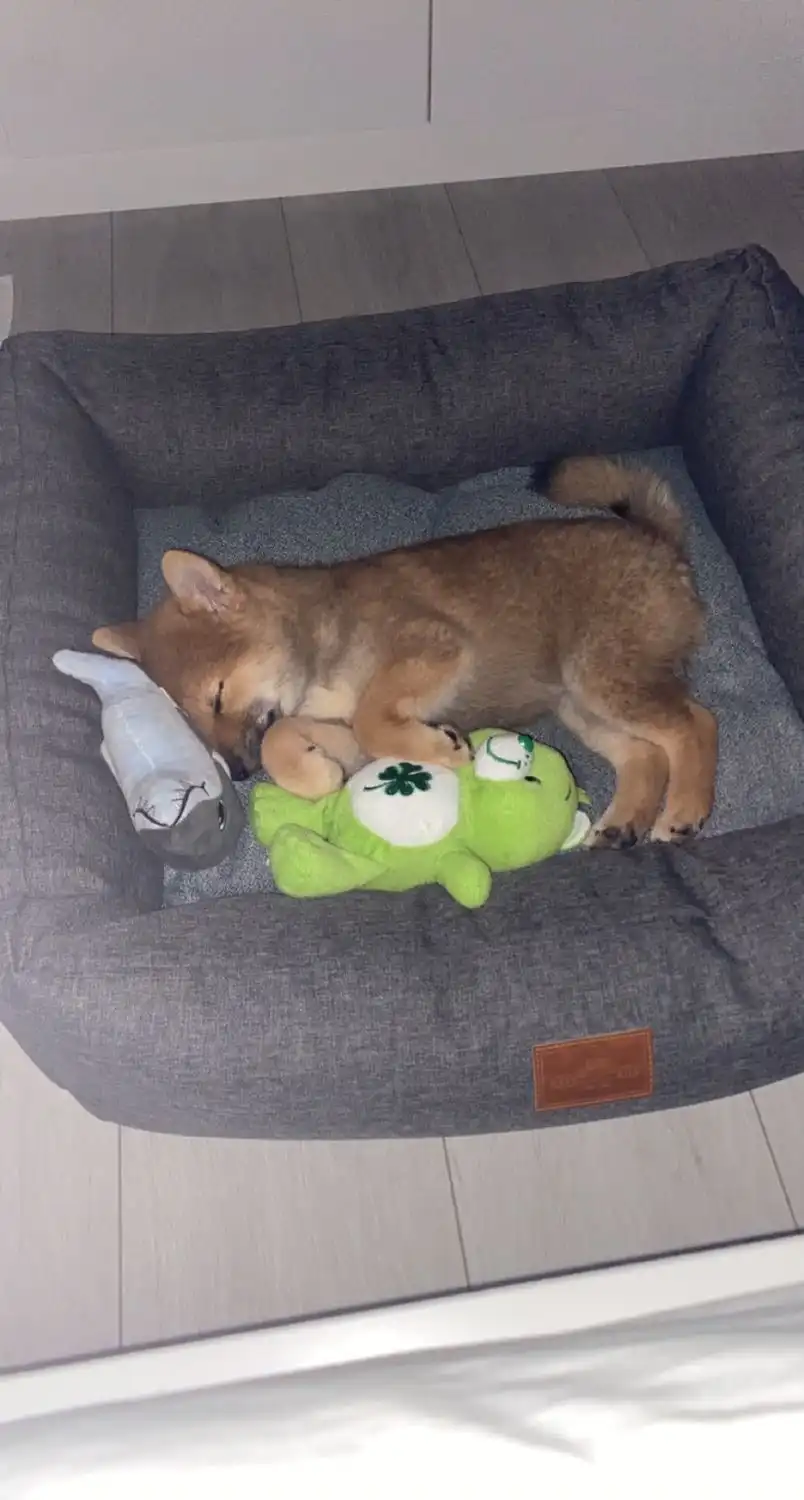 image-6