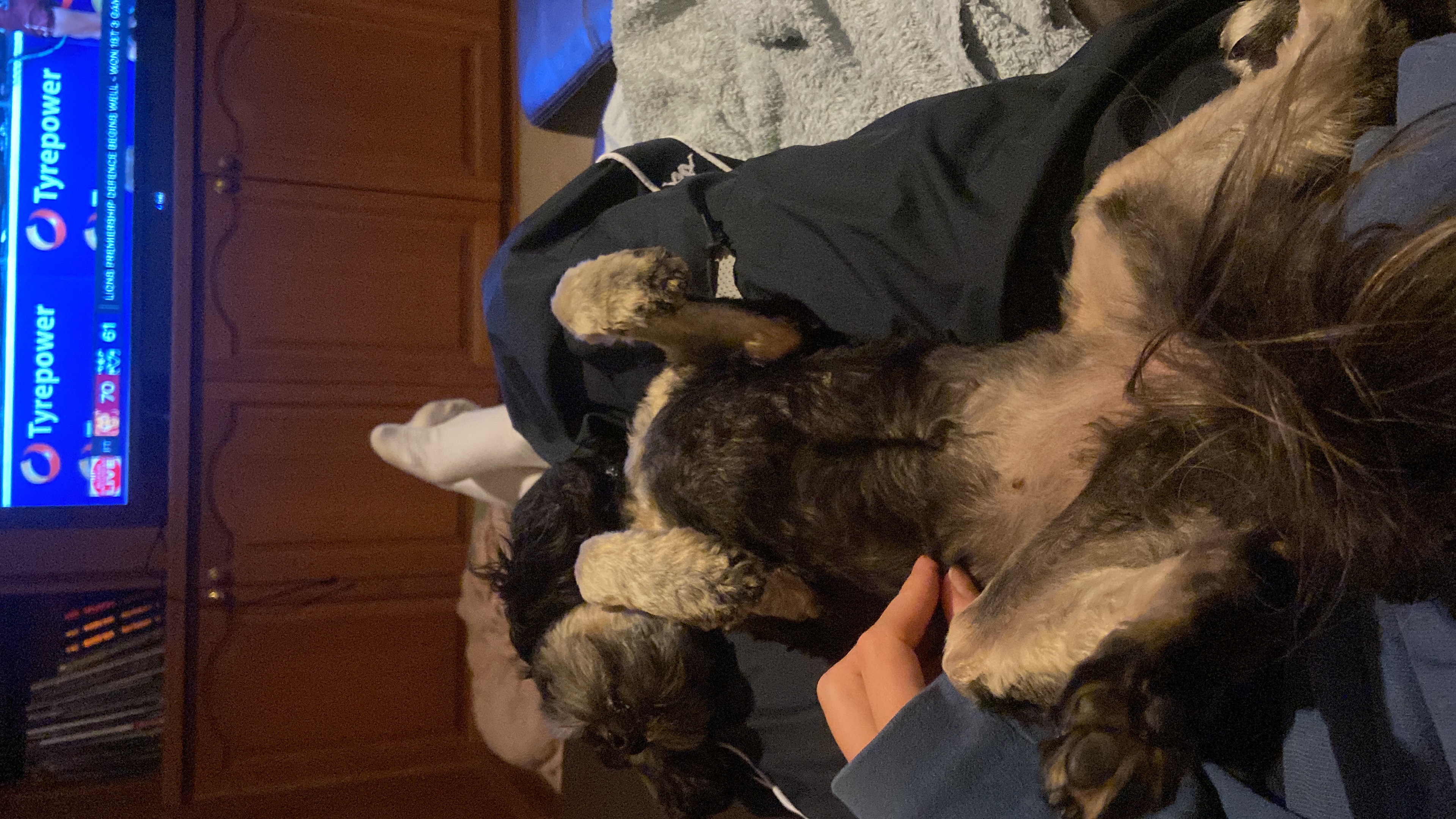image-6