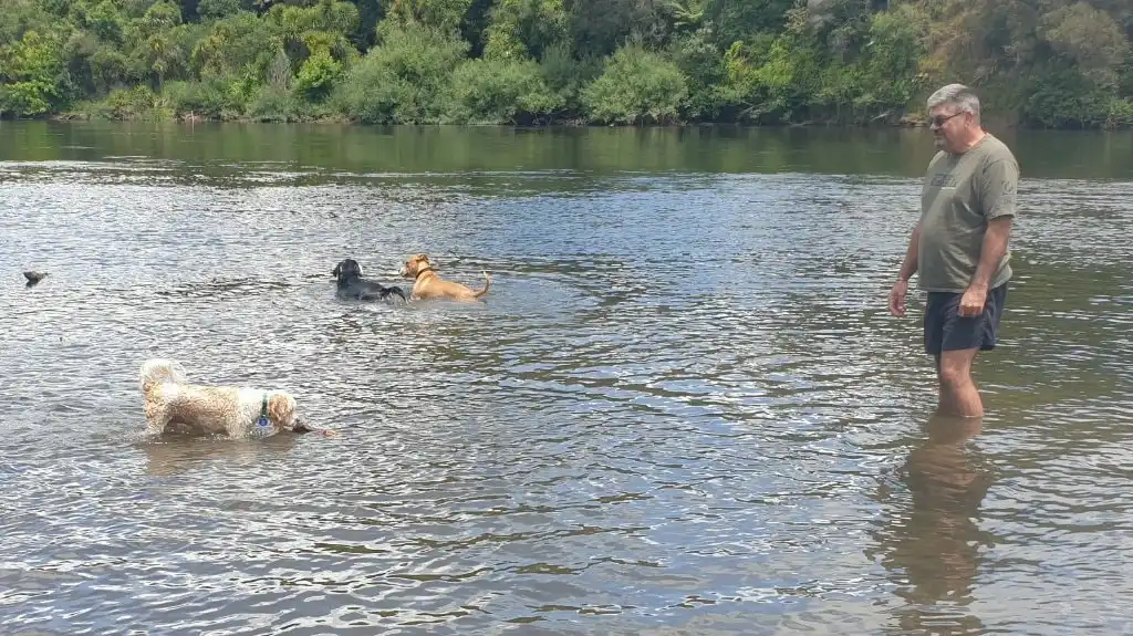 image-9