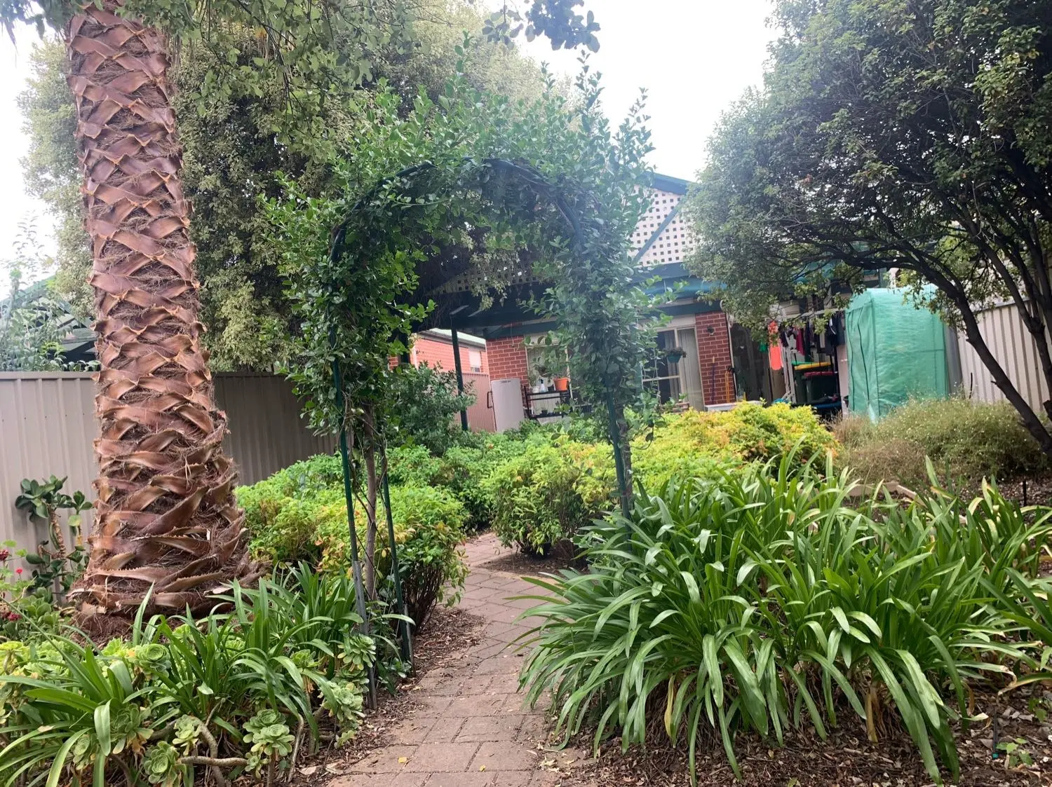 image-3