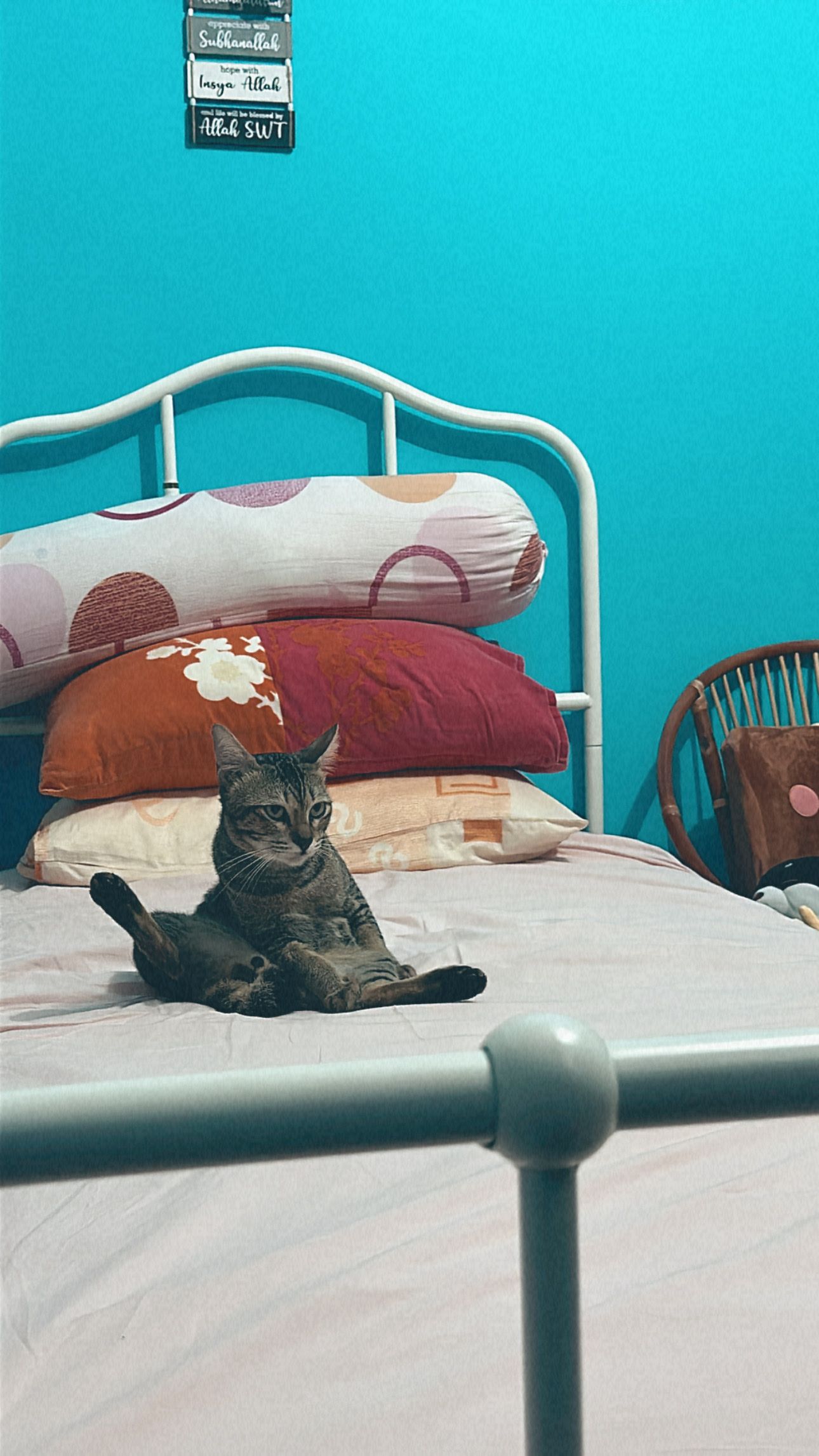 image-9