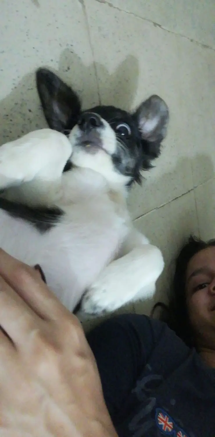 image-3