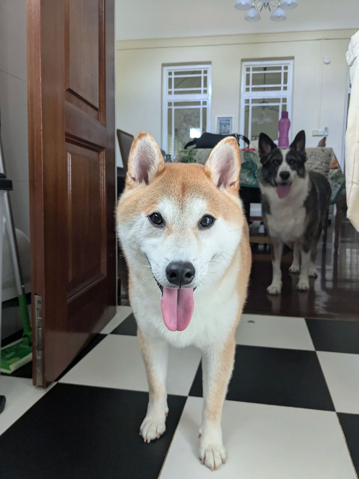 image-8