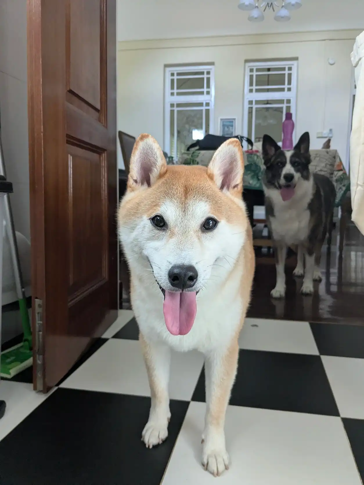 image-8