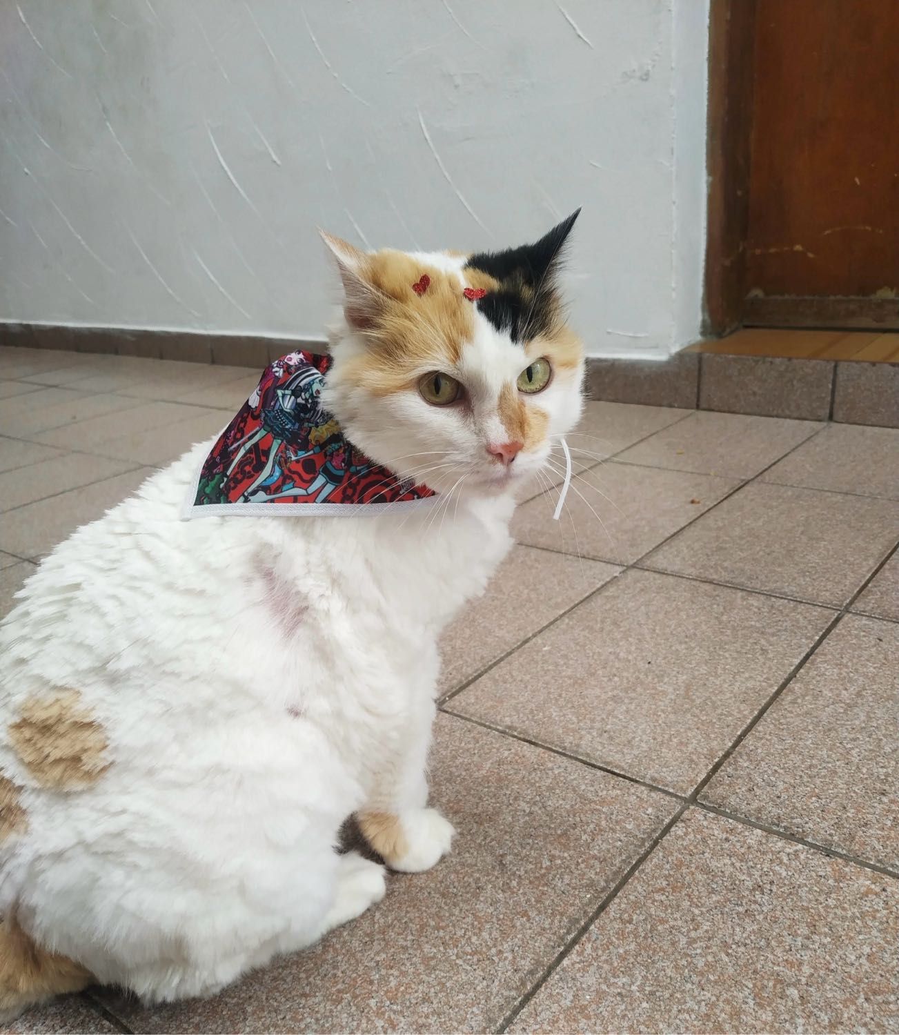 image-17