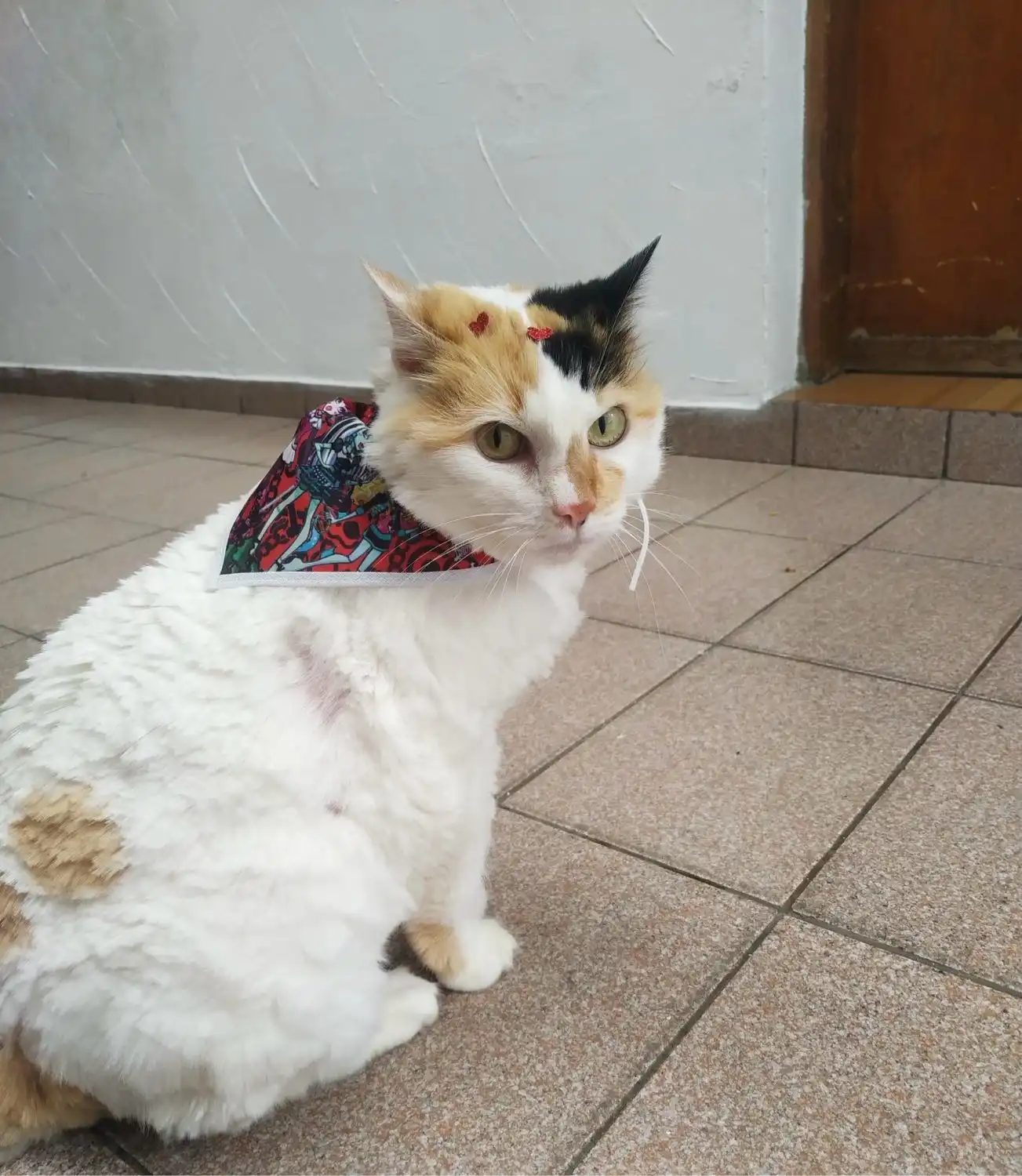 image-17