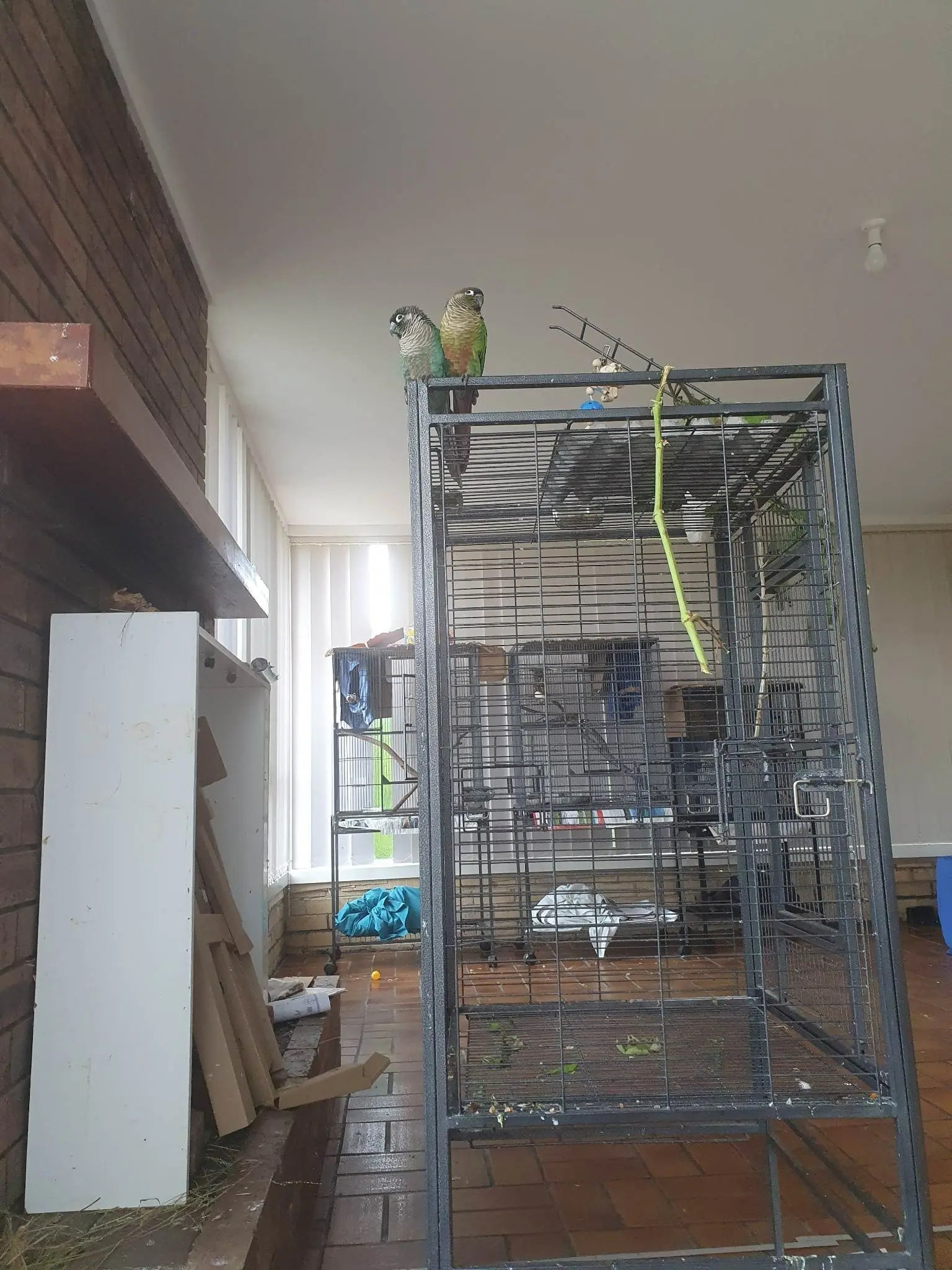 image-2