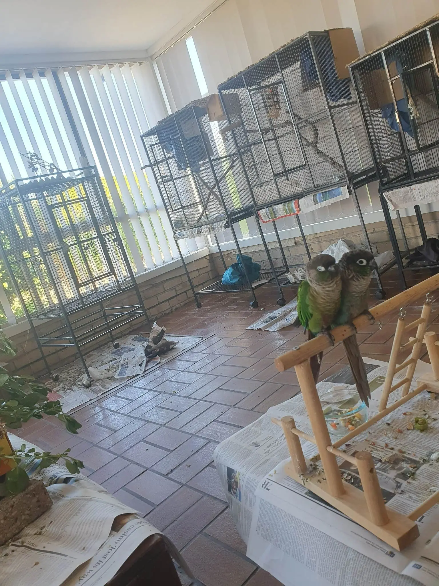 image-1