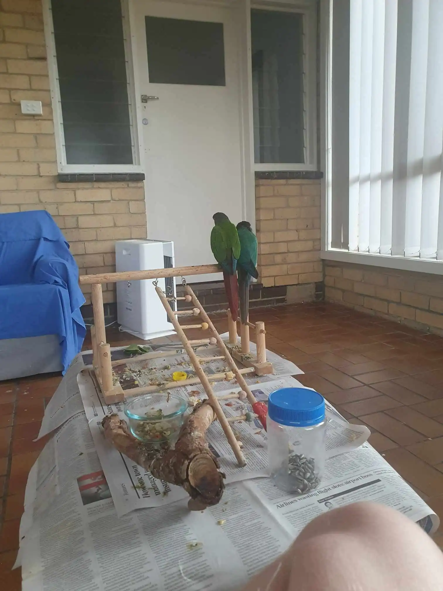 image-5