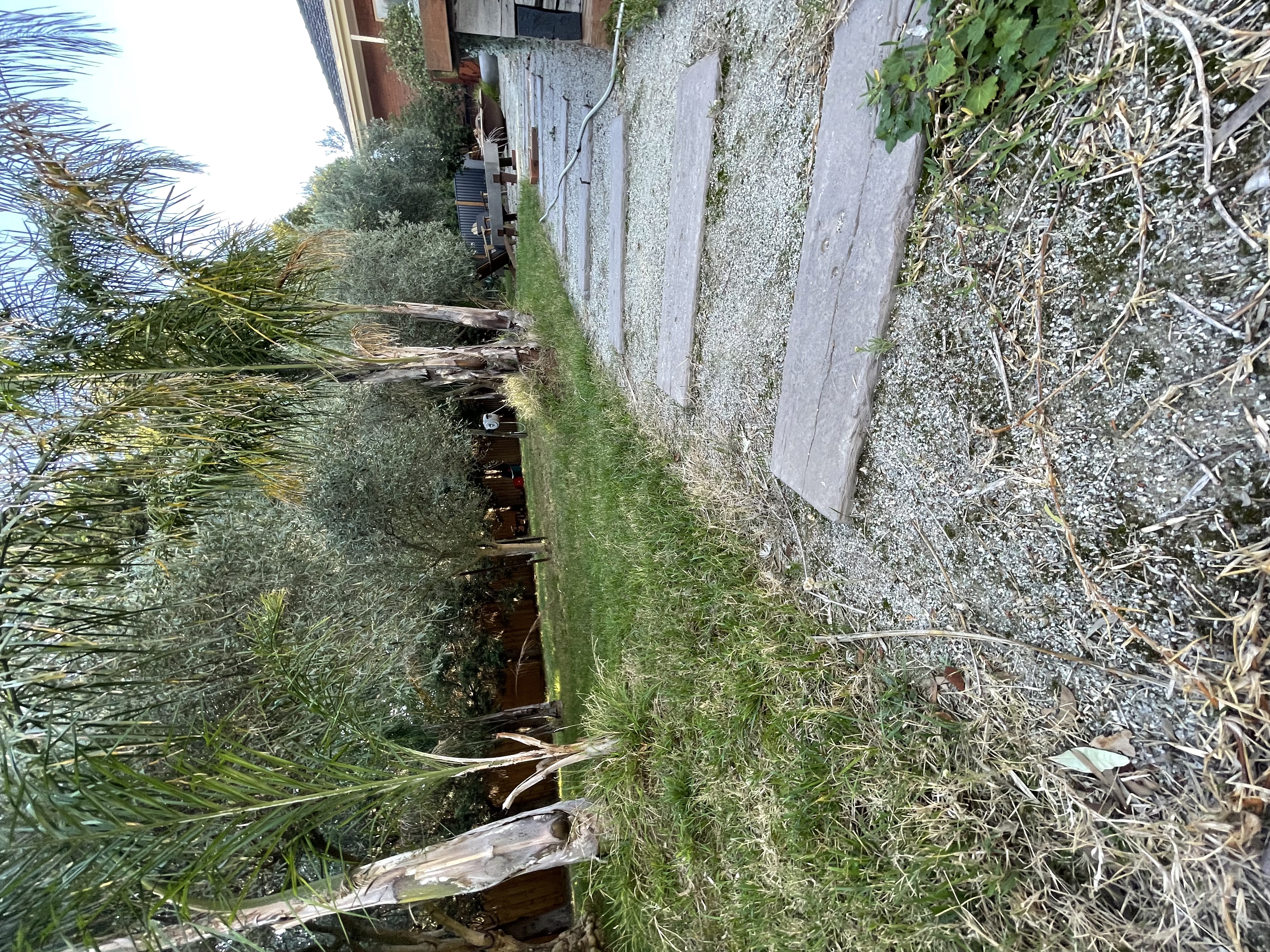 image-17