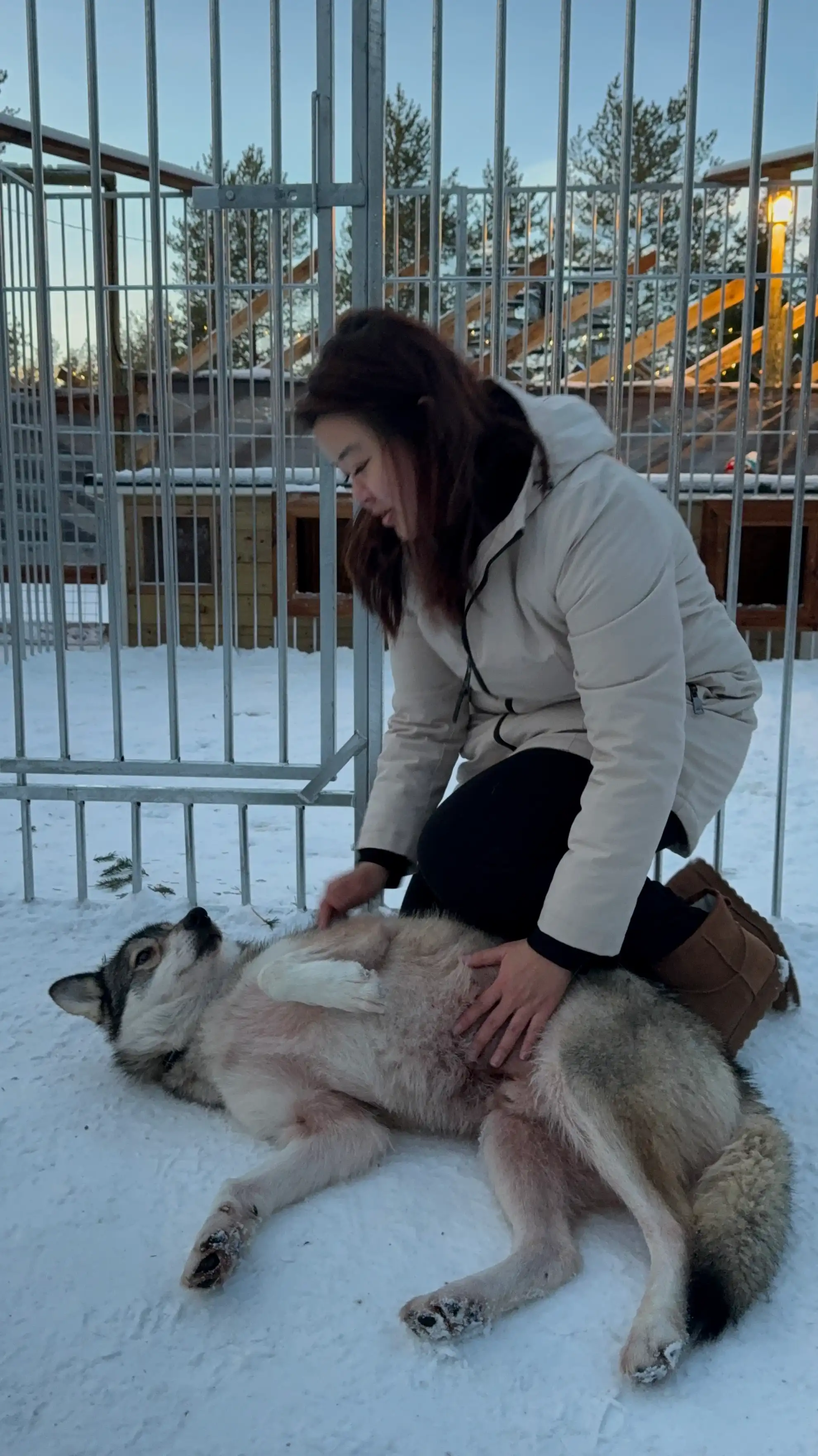 image-8