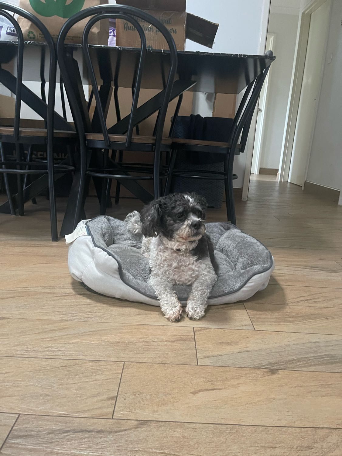 image-14