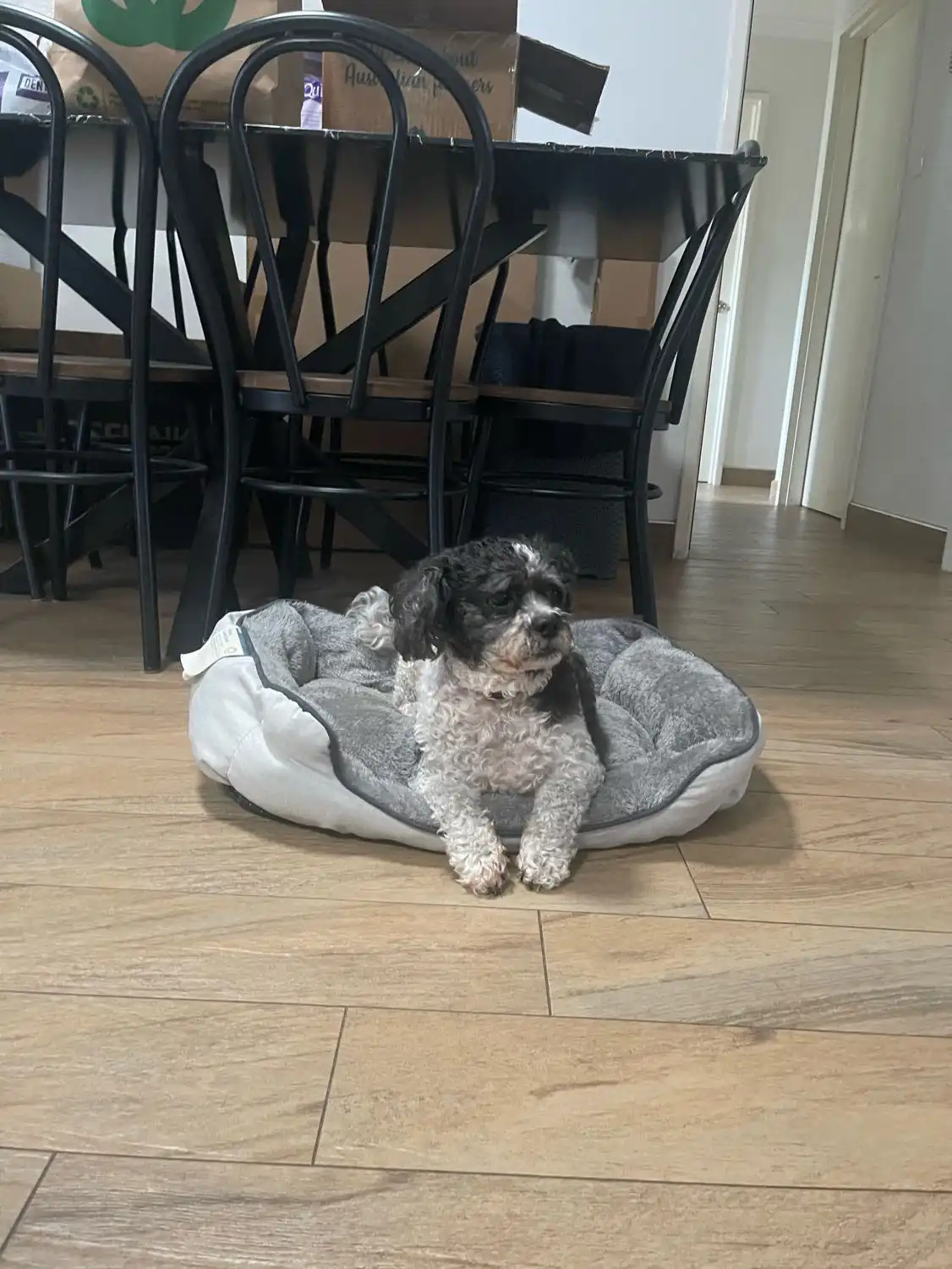 image-14