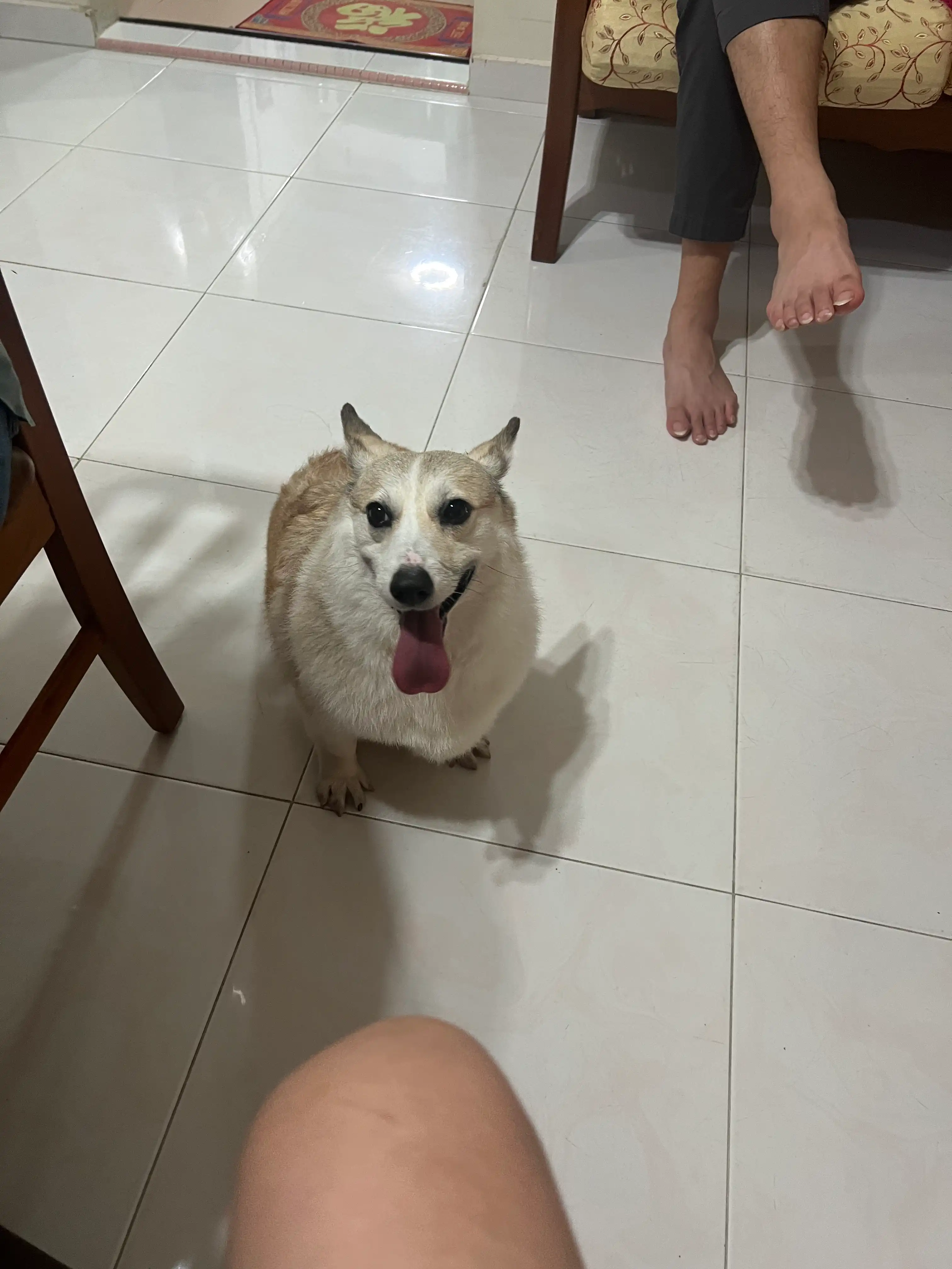 image-8