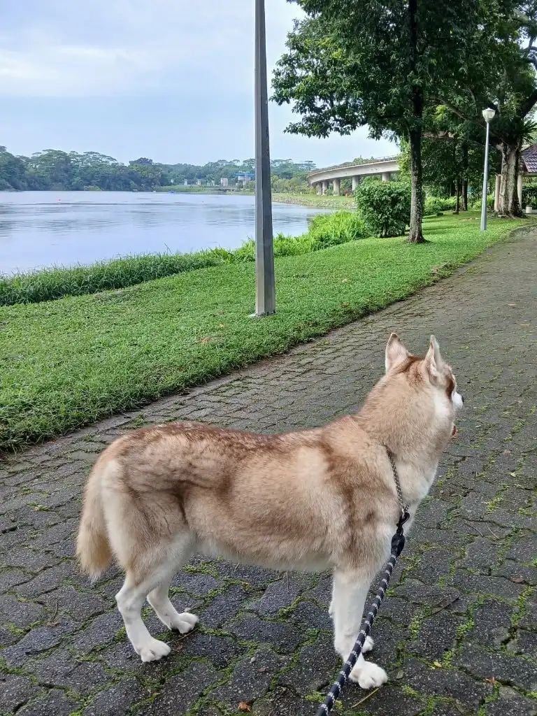image-5