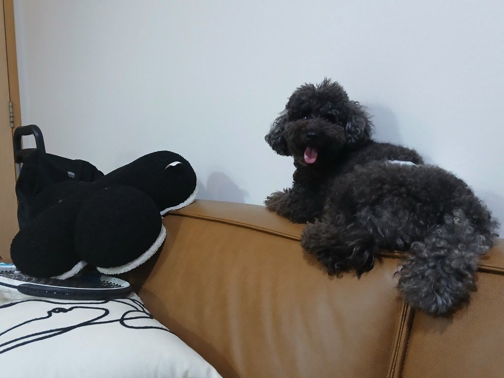 image-9