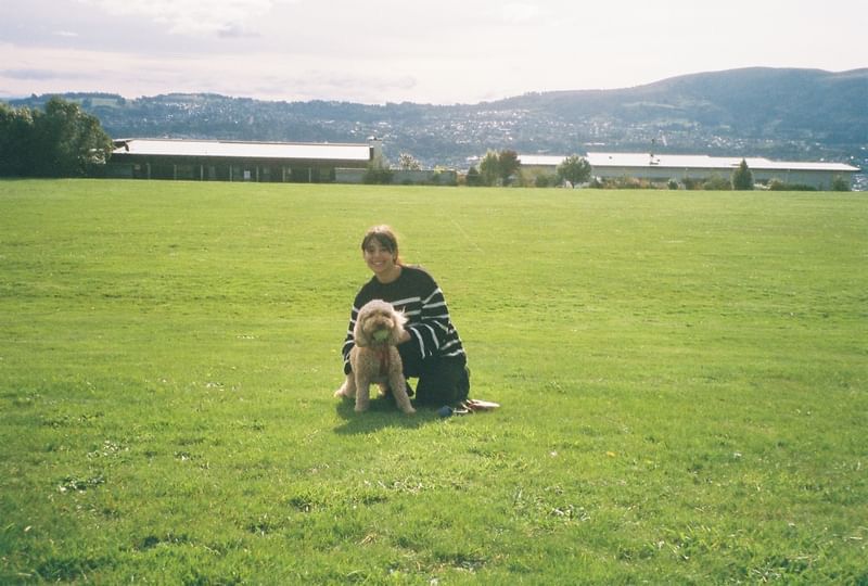 image-2