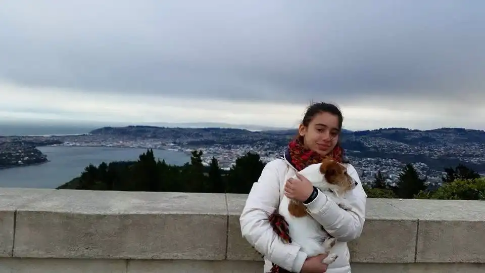 image-10
