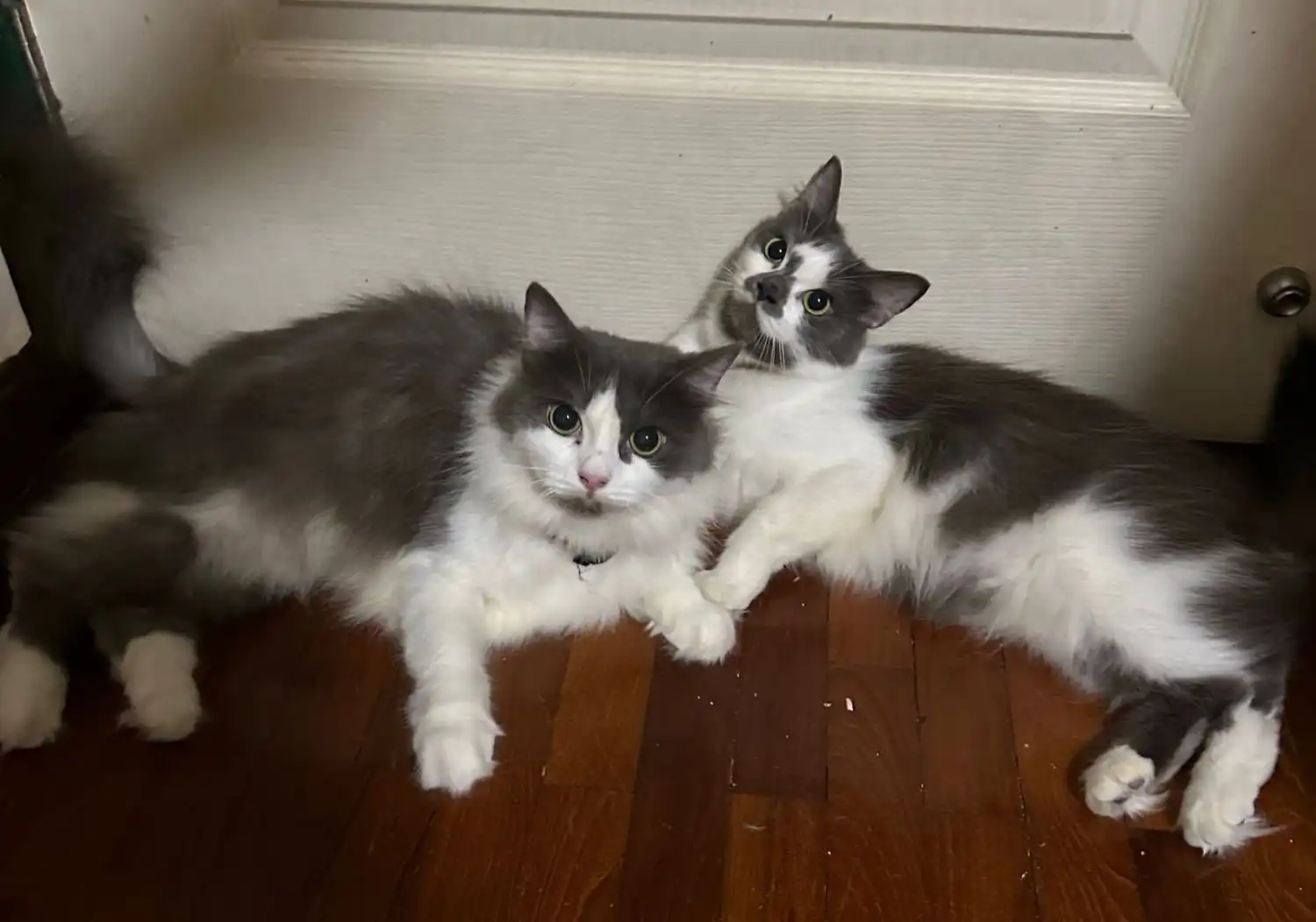 image-6
