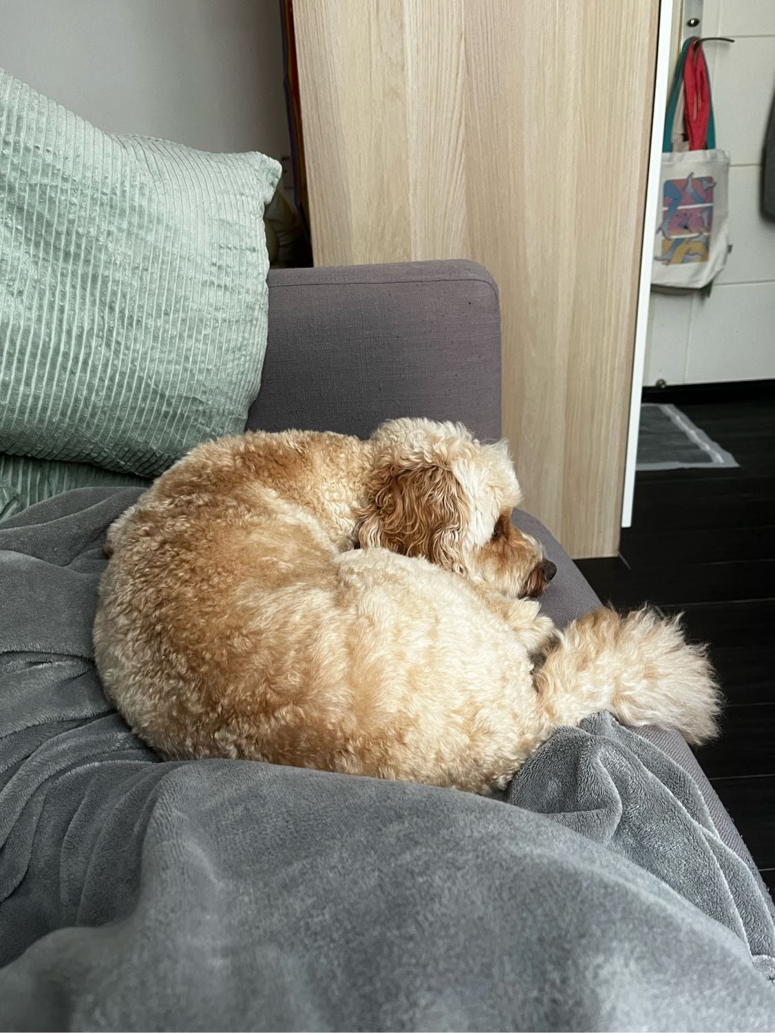 image-4