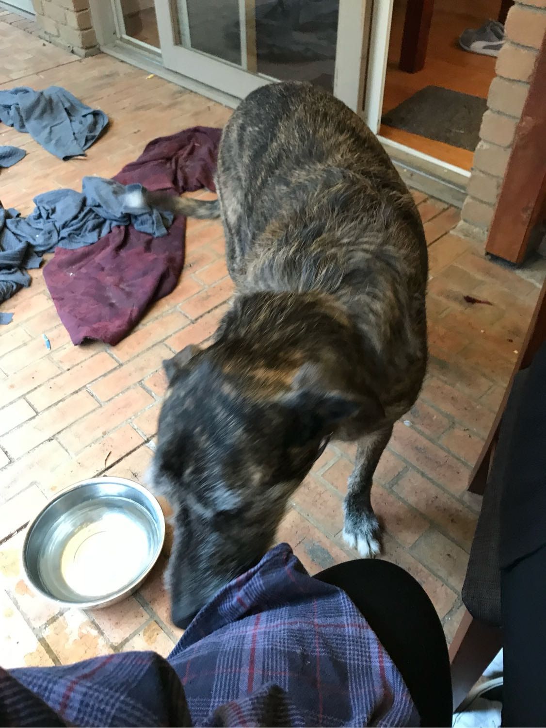 image-12