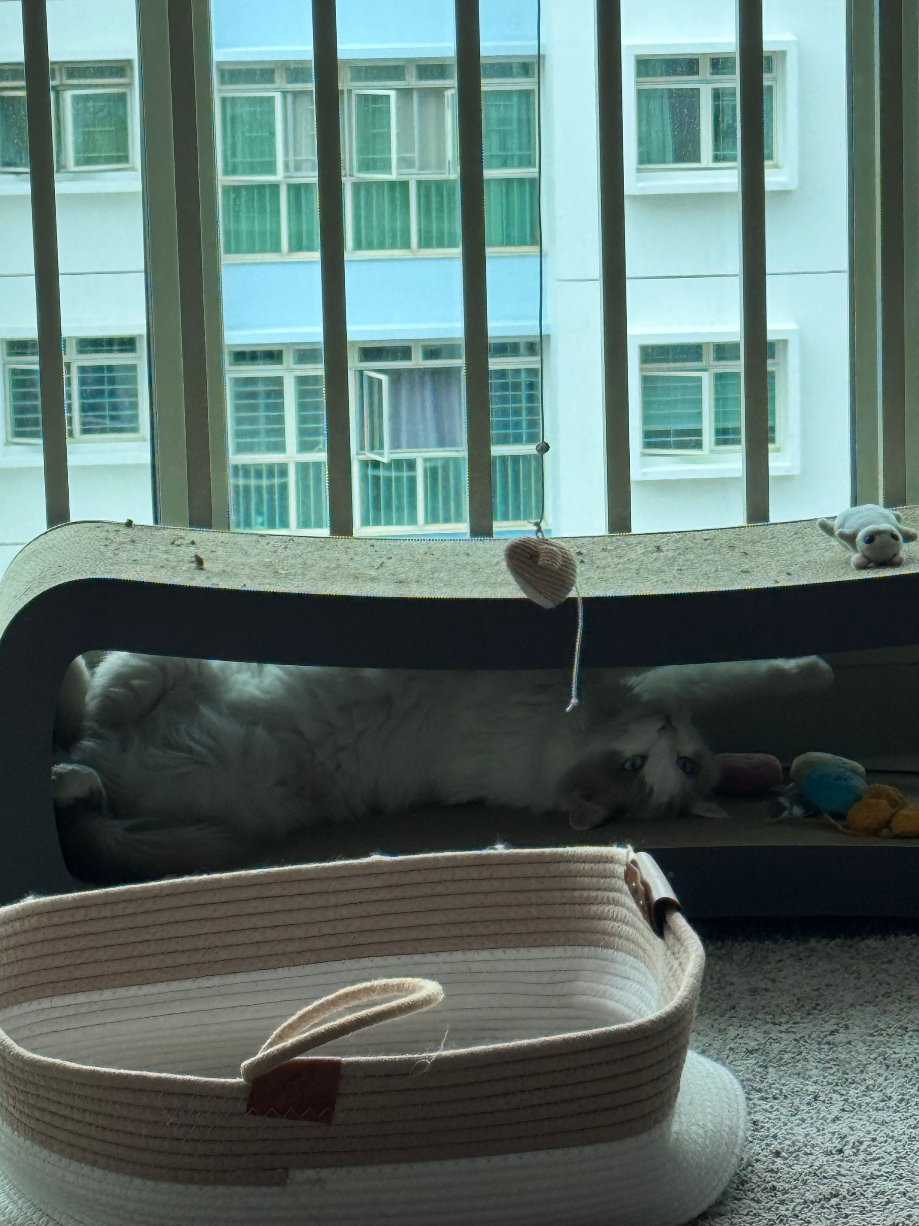 image-16