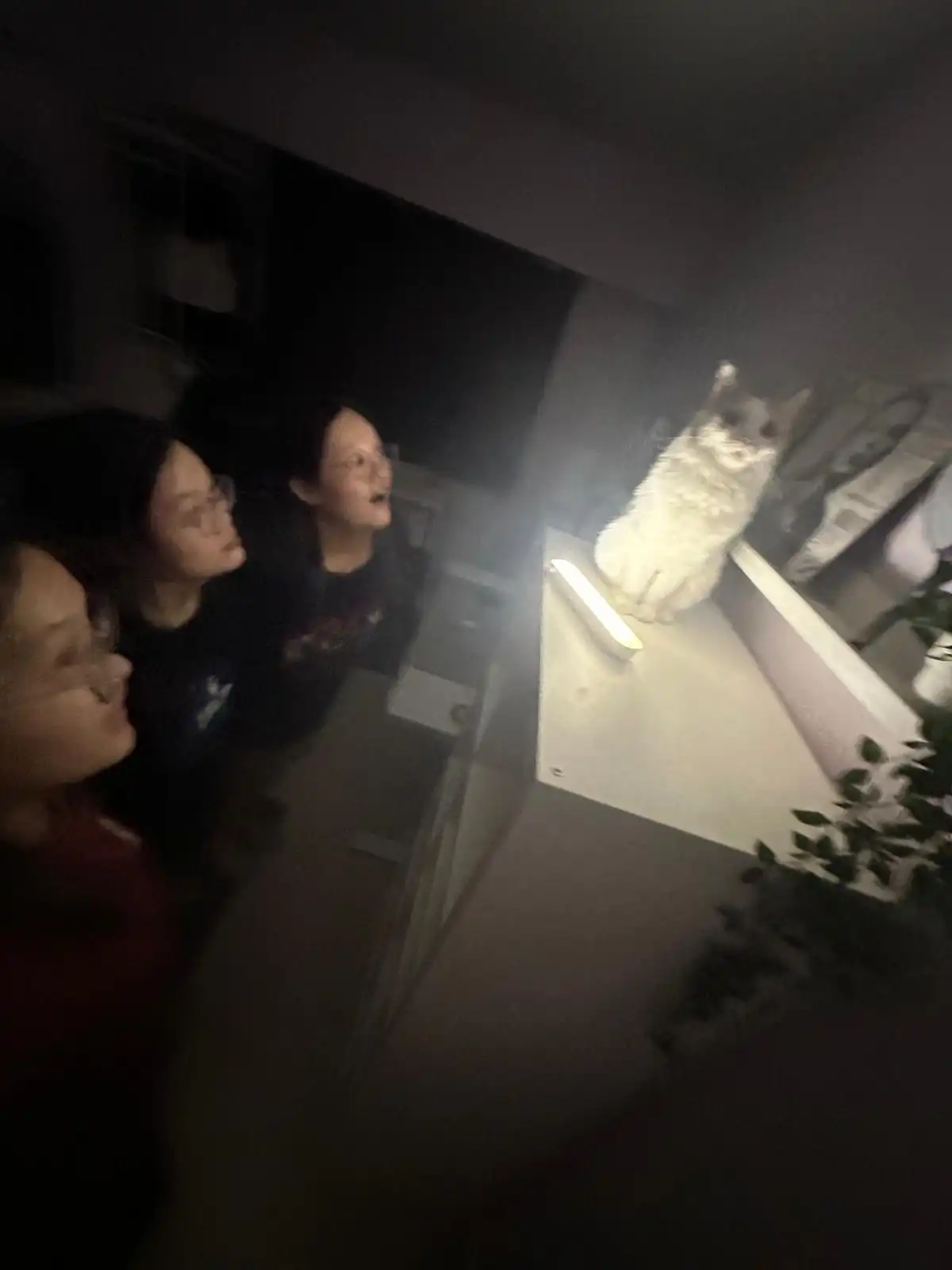 image-13