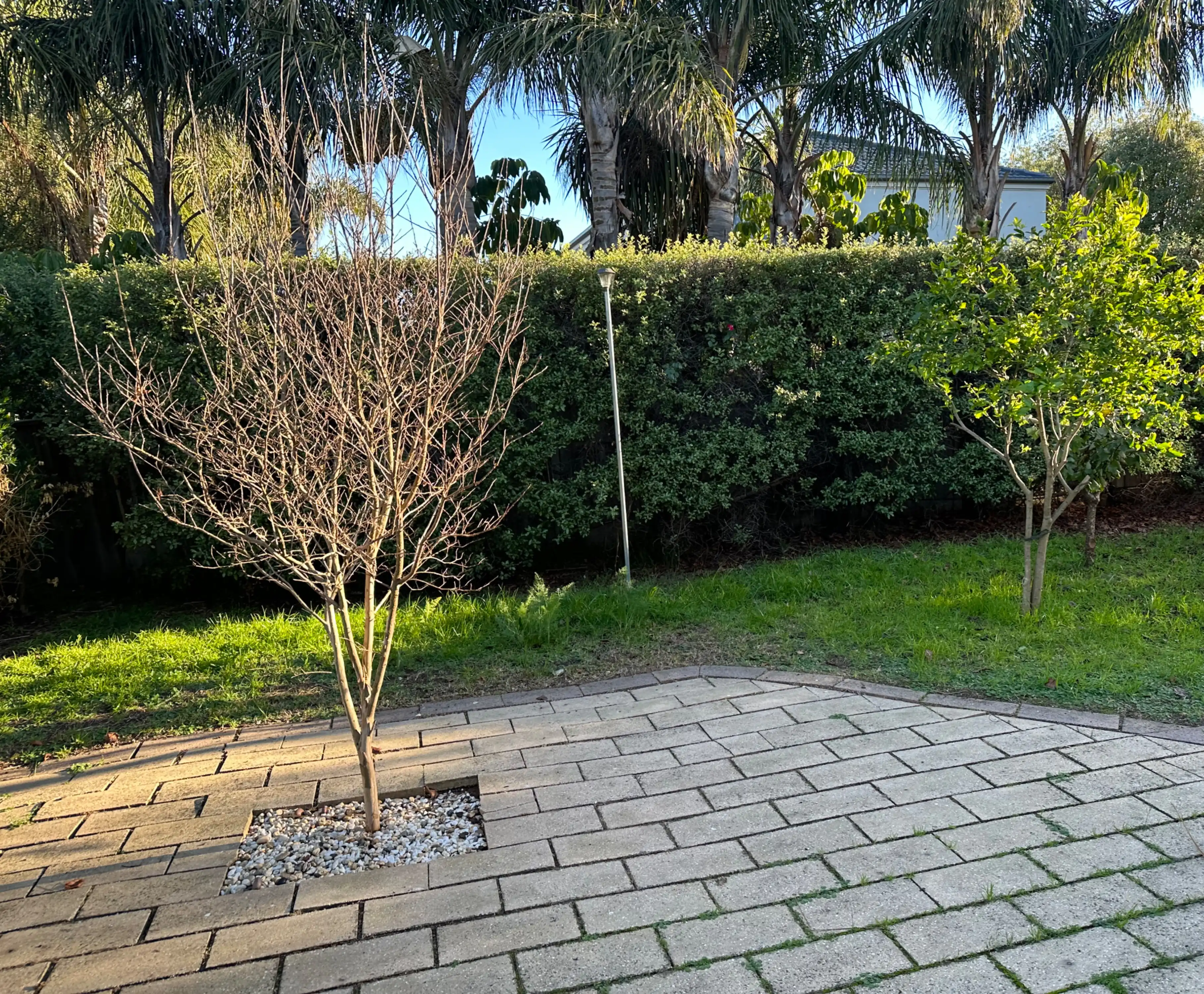 image-5