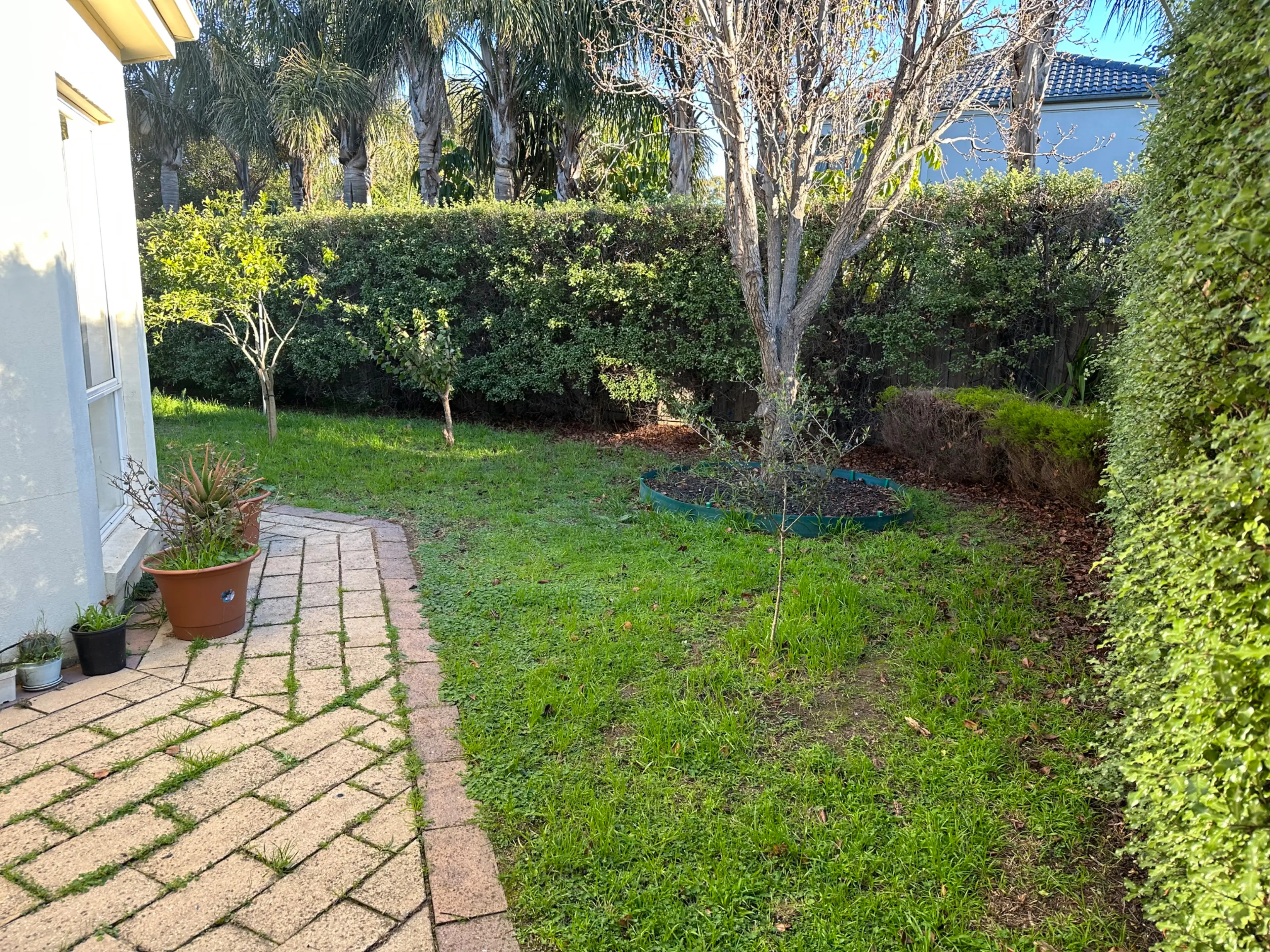 image-4